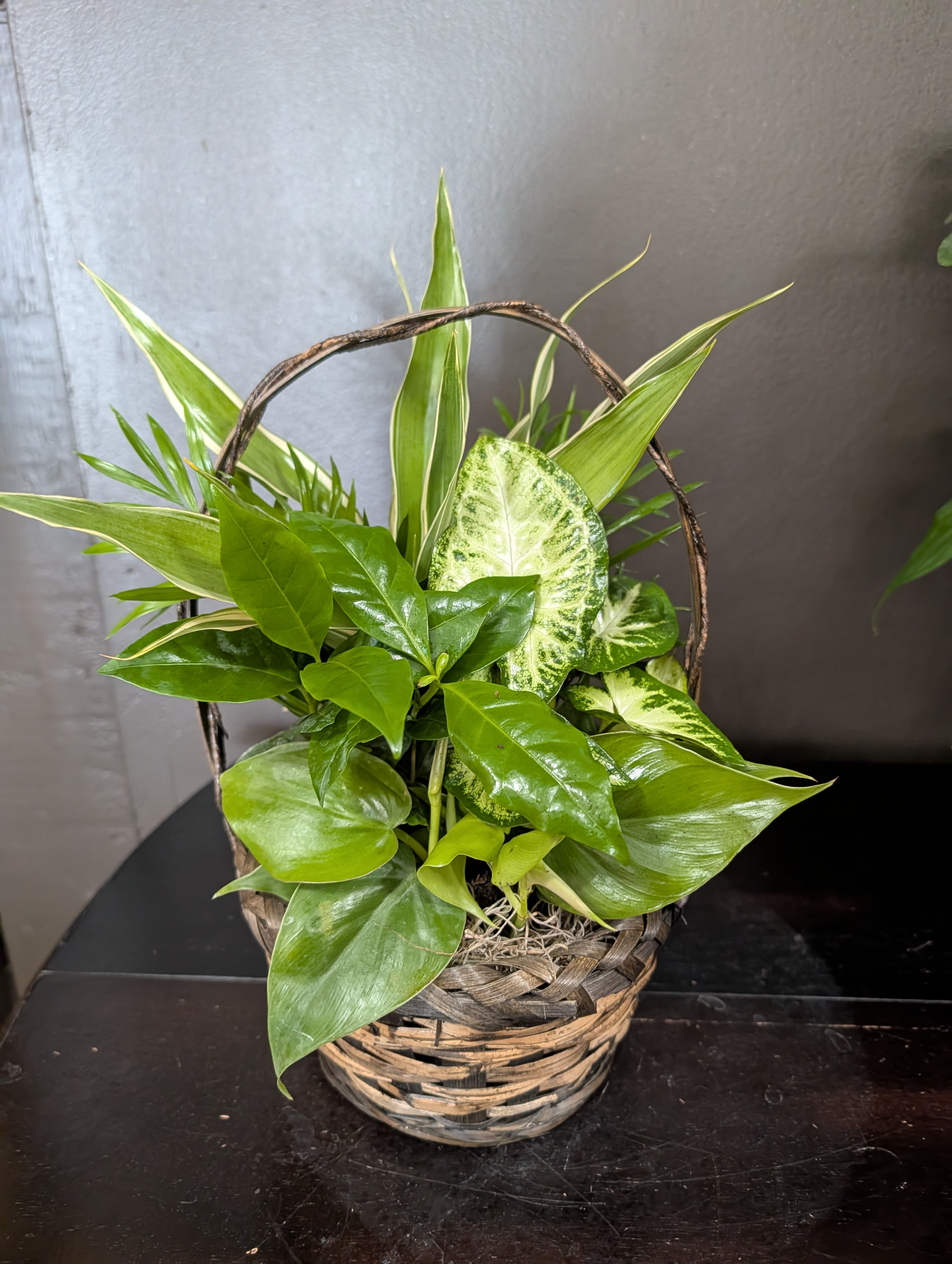 Mixed Planter In a Basket Or Tin - An assortment of multiple plant varieties in a basket or tin.
