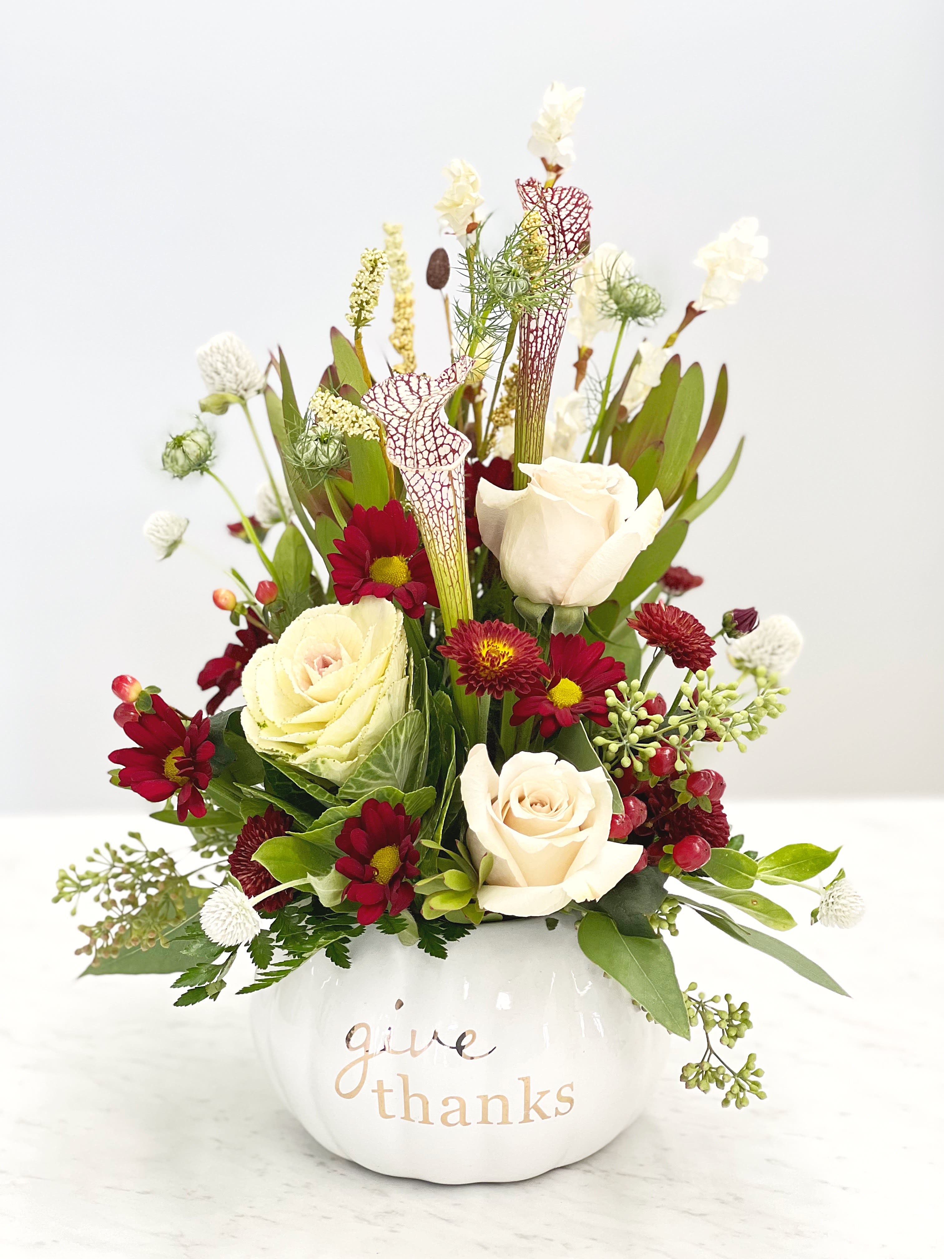 Give Thanks - Beautiful white and burgundy Fall mix in a white pumpkin vase. To include roses, sarracenia, ornamental cabbages, leucadendron, and a mix of seasonal burgundy Fall blooms.