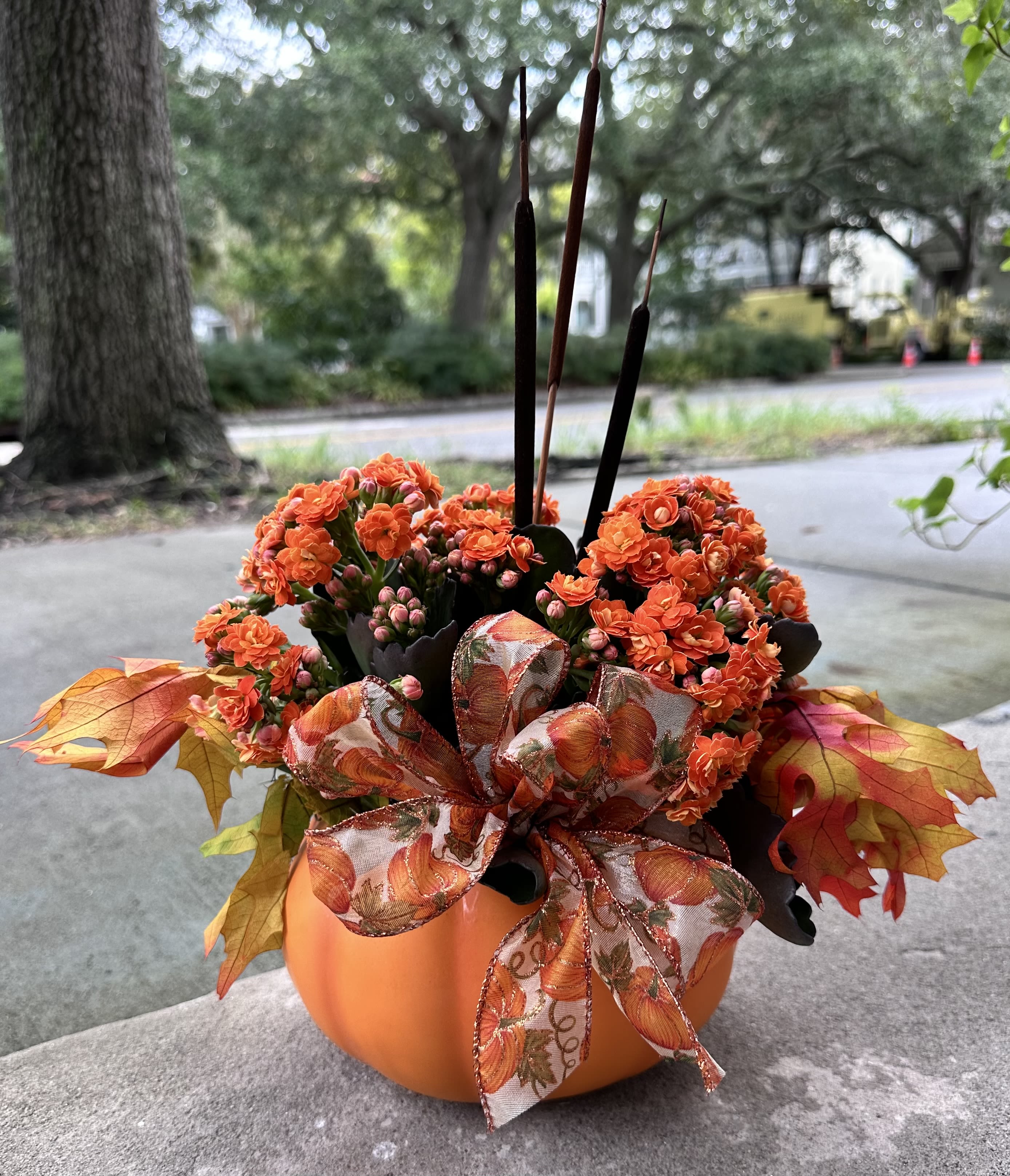 Orange flowers arranged in a pumpkin-shaped container with a fall ribbon
