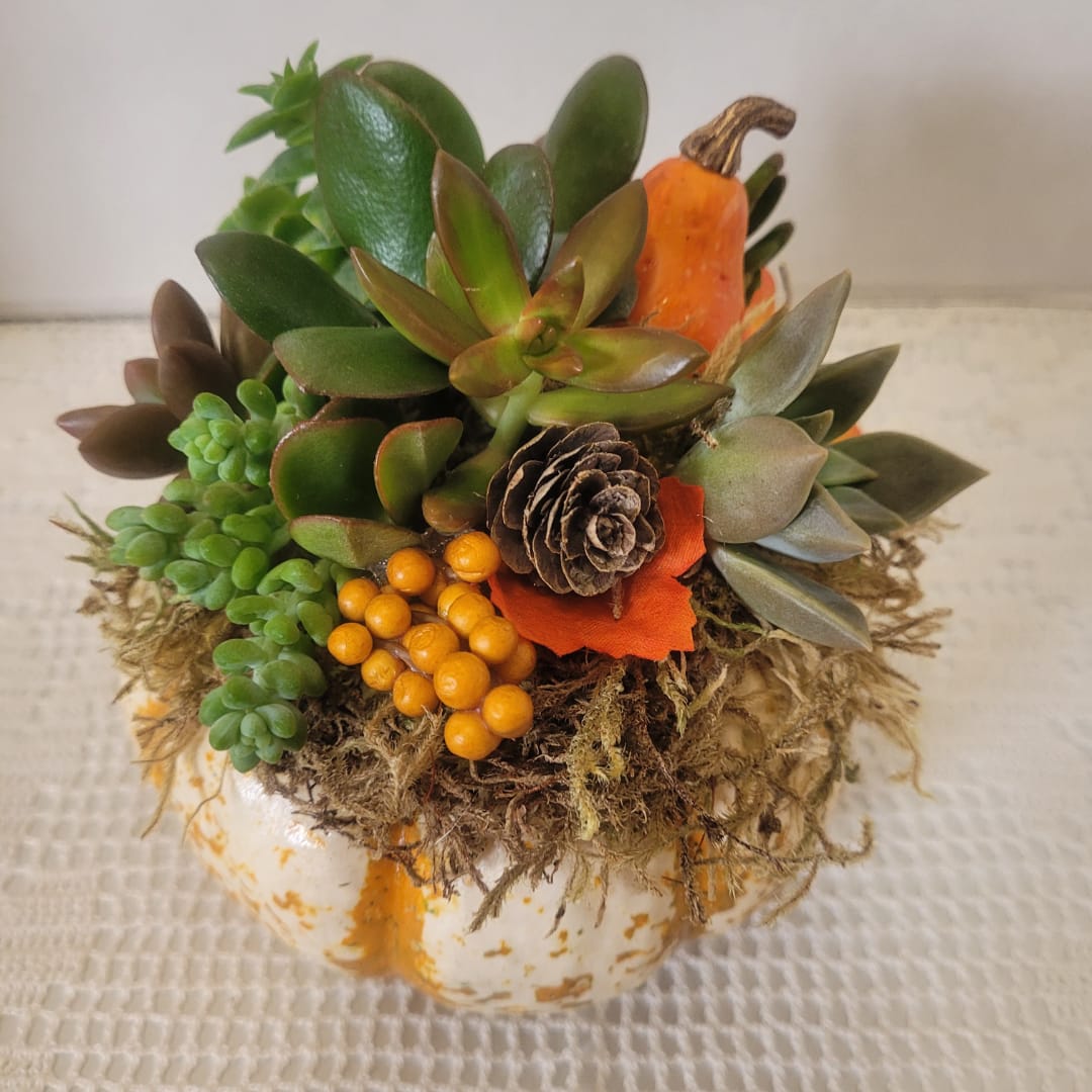Succulent arrangement in a white pumpkin-shaped container with orange accents