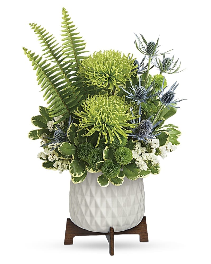 Teleflora's Style Statement Bouquet - A gift as unique as the lucky recipient, this gorgeous green bouquet is presented to perfection in this mid-century ceramic planter with crisp white glaze and chic wooden base. Green spider chrysanthemums, green button spray chrysanthemums, white sinuata statice, and blue eryngium are arranged with sword fern and variegated pittosporum. Delivered in Teleflora's Mid Mod Geometric Planter.