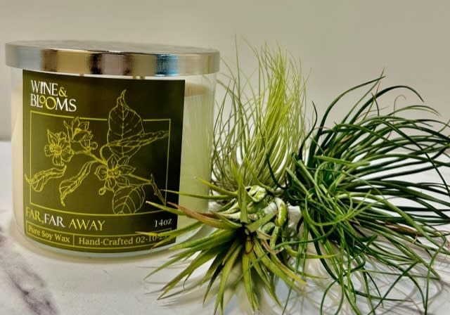Scented candle in a glass jar with air plants beside it
