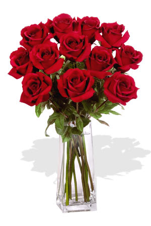 Red roses arranged in a clear glass vase