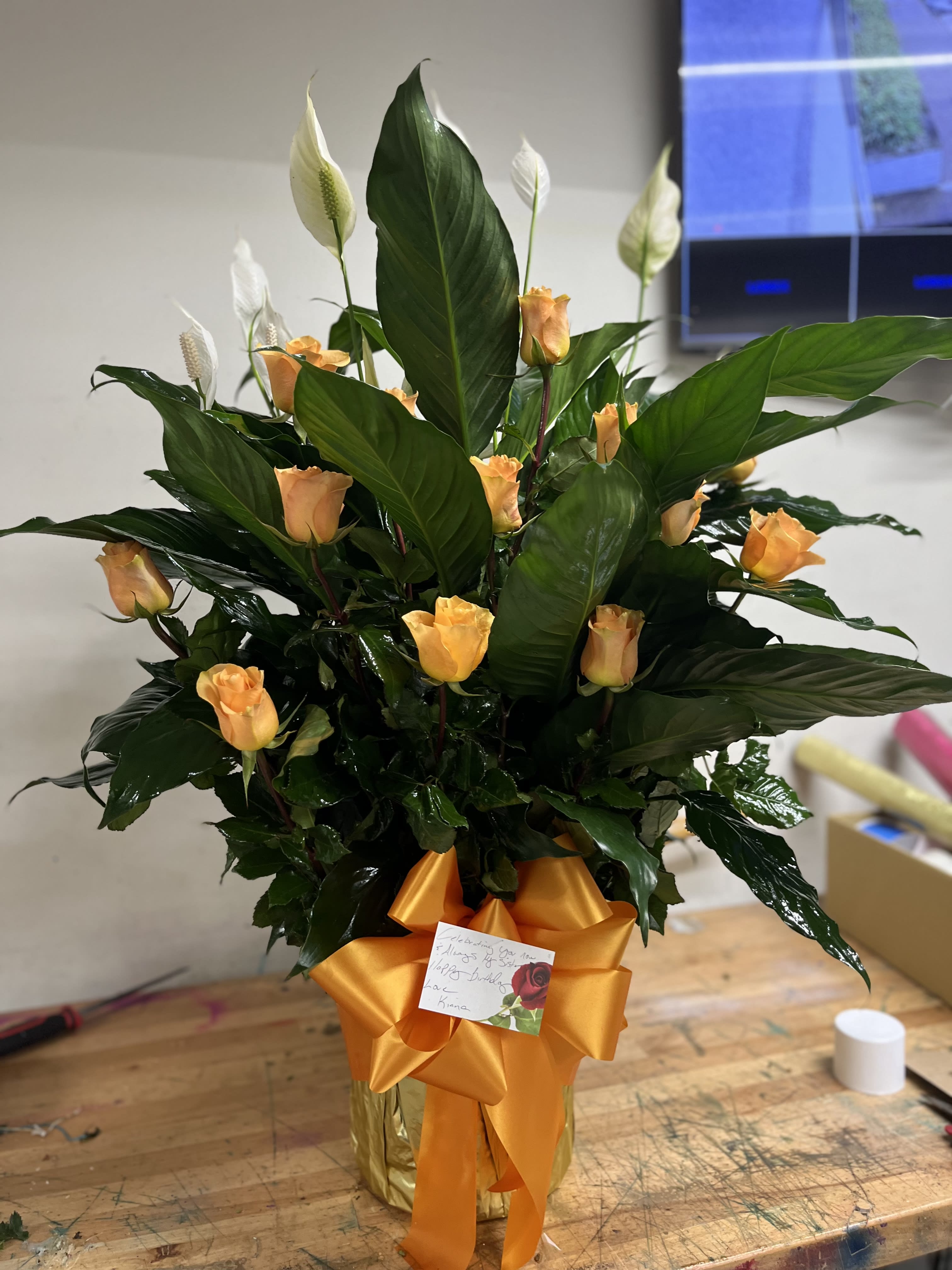 Peace lily plant with roses  - Peace lily plants with roses
