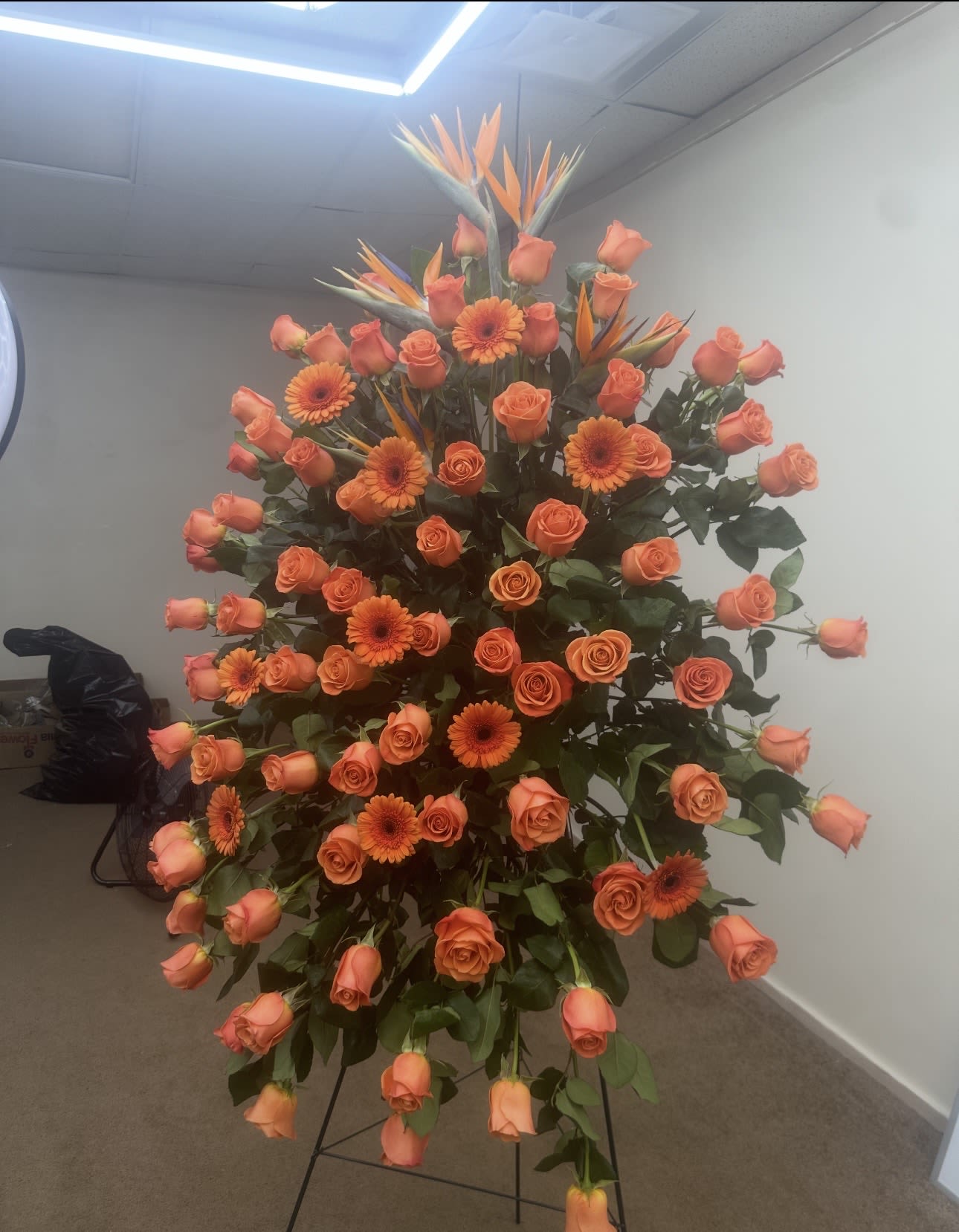 Orange Standing Arrangement with Birds of Paradise  - Arrangements with Birds of Paradise 