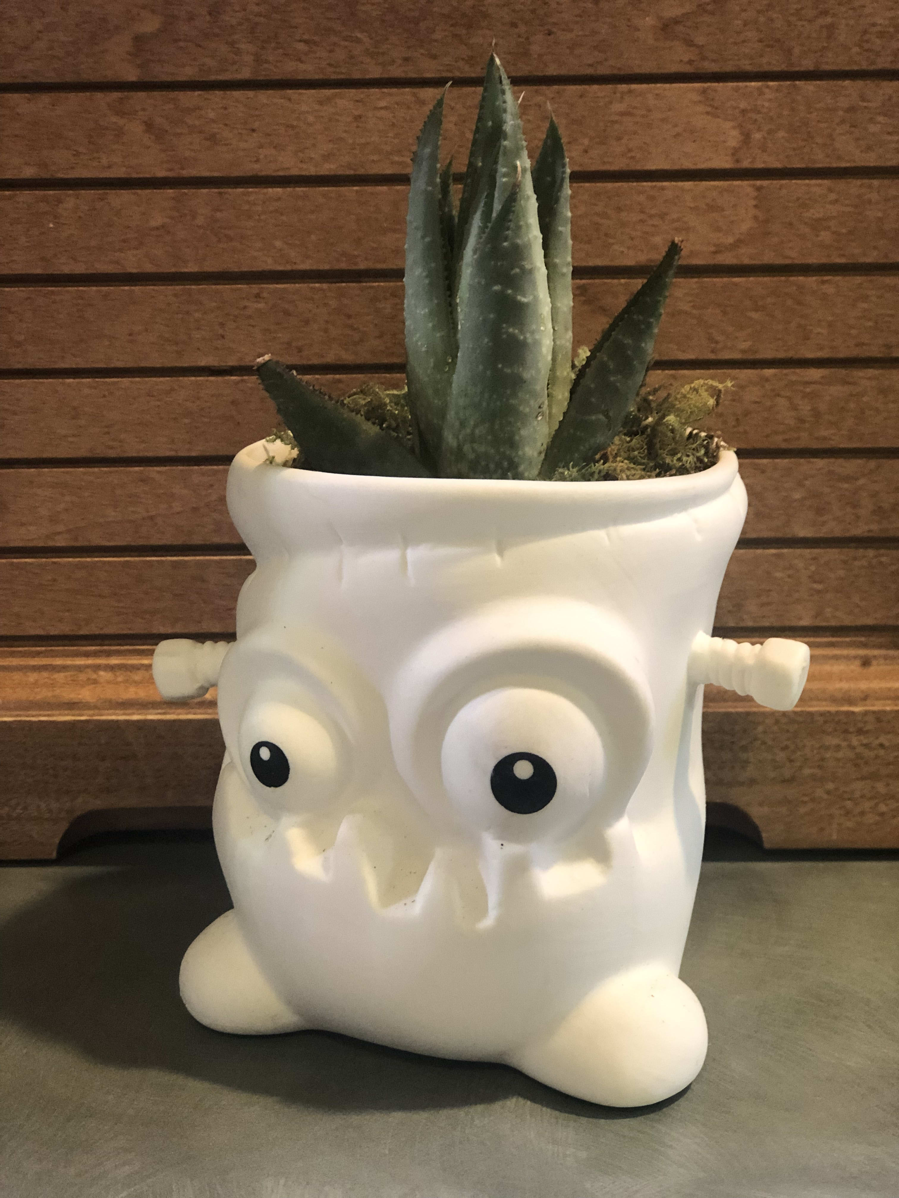 Monster Mash - Let's all do the Monster Mash together with this little succulent in a Frankenstein ceramic container. Great for a nook or cranny in either your home or office. Display in medium to low light and slowing pour approximately 1 oz. of water at the base of the plant once every other week is the air is dry. (succulent may vary by seasonality)