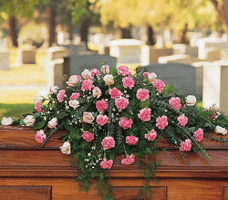 Pink carnations and roses casket spray with trailing greenery in a cemetery setting