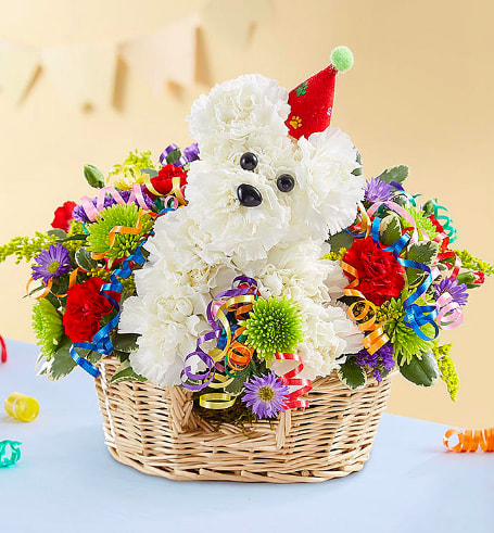 White flower teddy bear in a wicker basket with colorful ribbon streamers