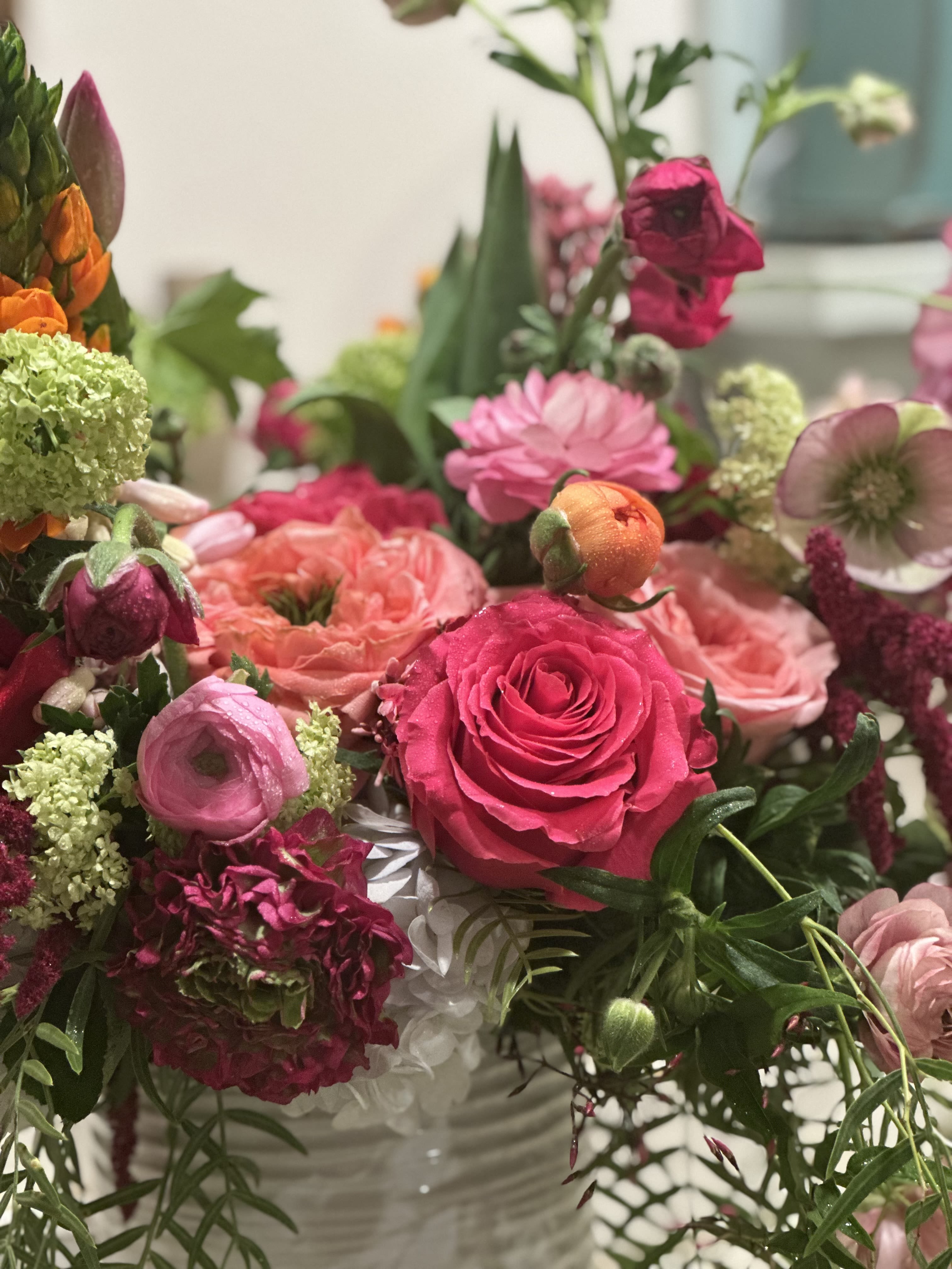 Joyful  - Yummy color combination of unusual blooms 