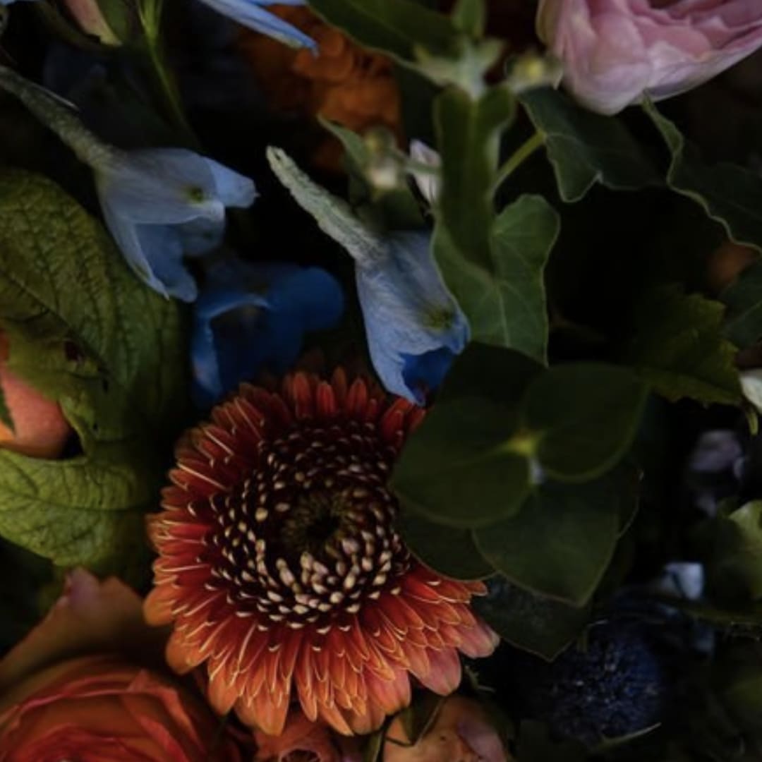 Mixed bouquet with orange gerbera daisy and blue flowers