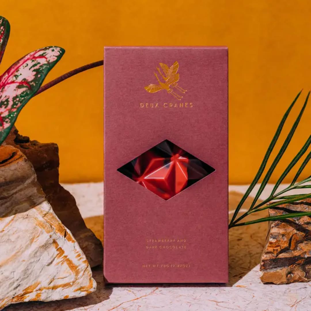 Box of strawberry dark chocolate with decorative leaves and stones