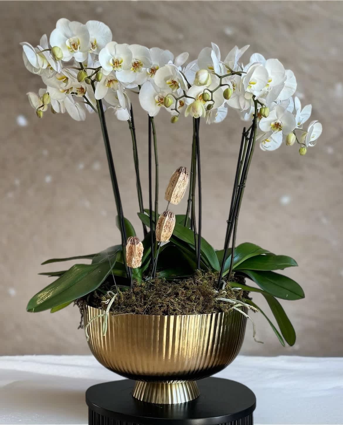 White orchids arranged in a gold pedestal bowl with moss