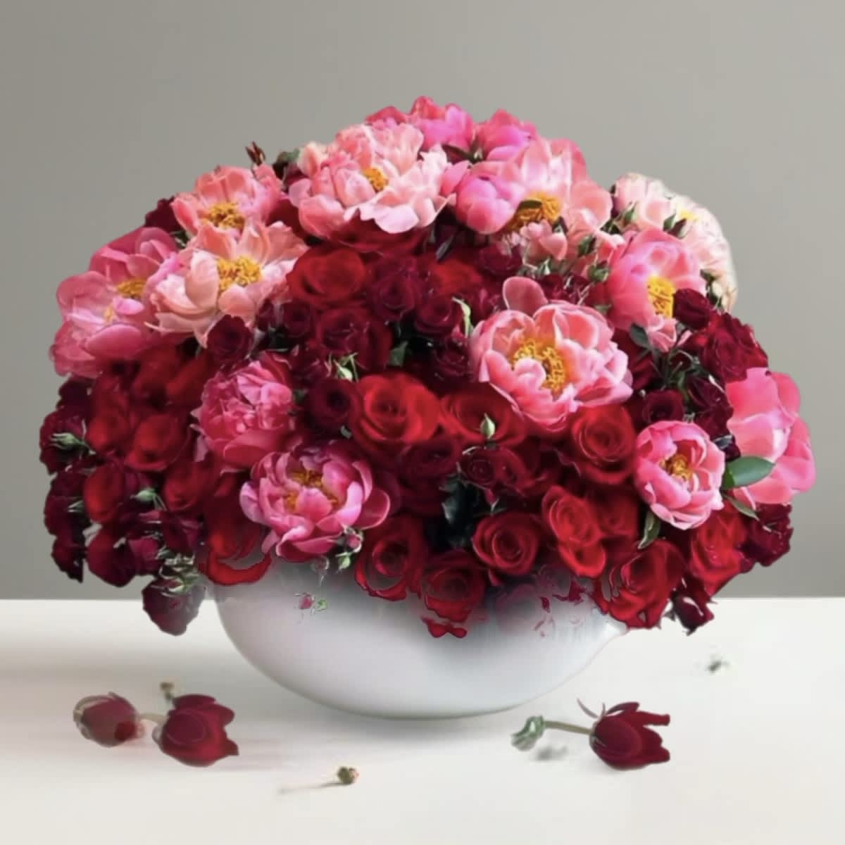 Red and pink roses in a white bowl vase