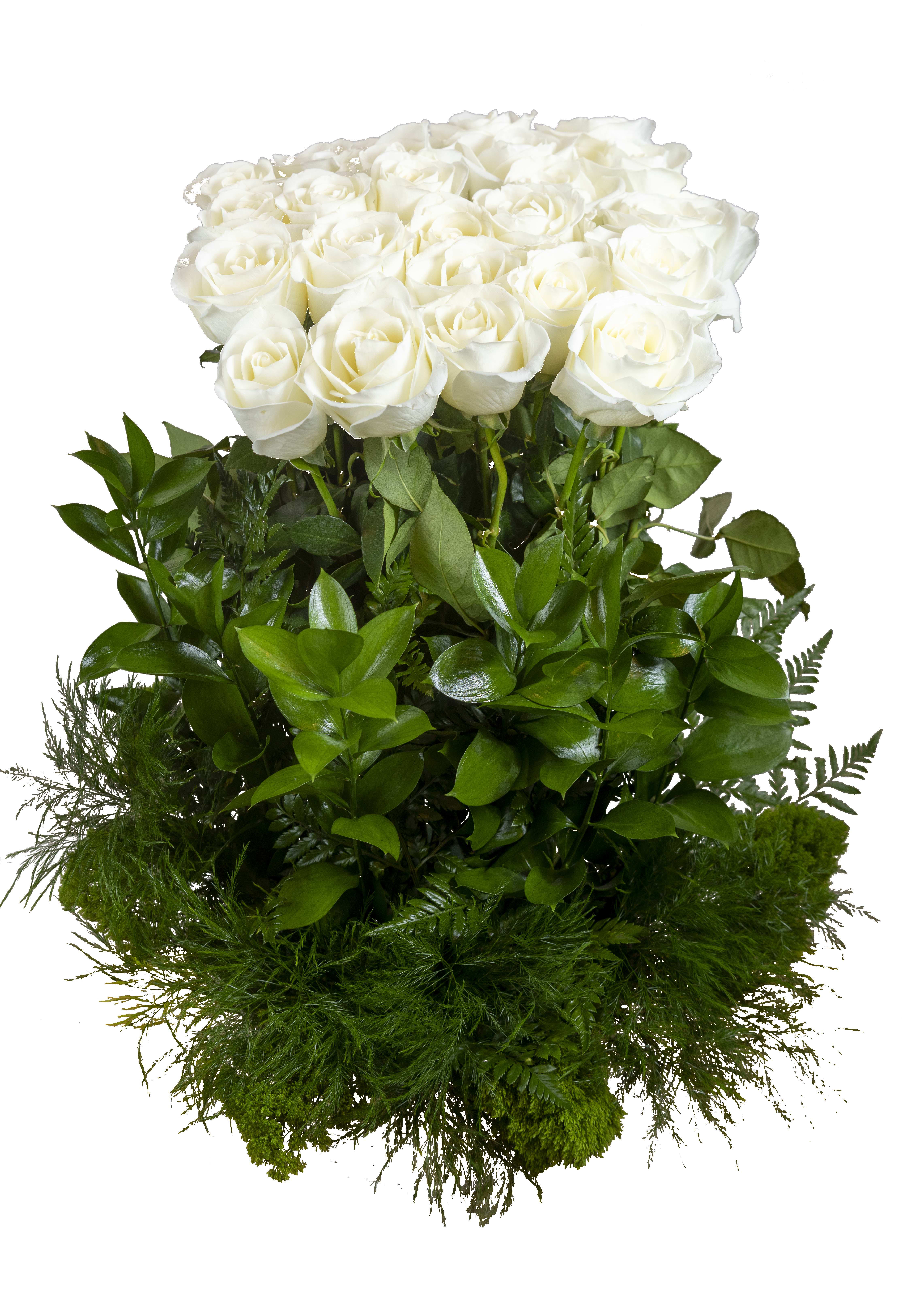 White rose bouquet with dense green foliage