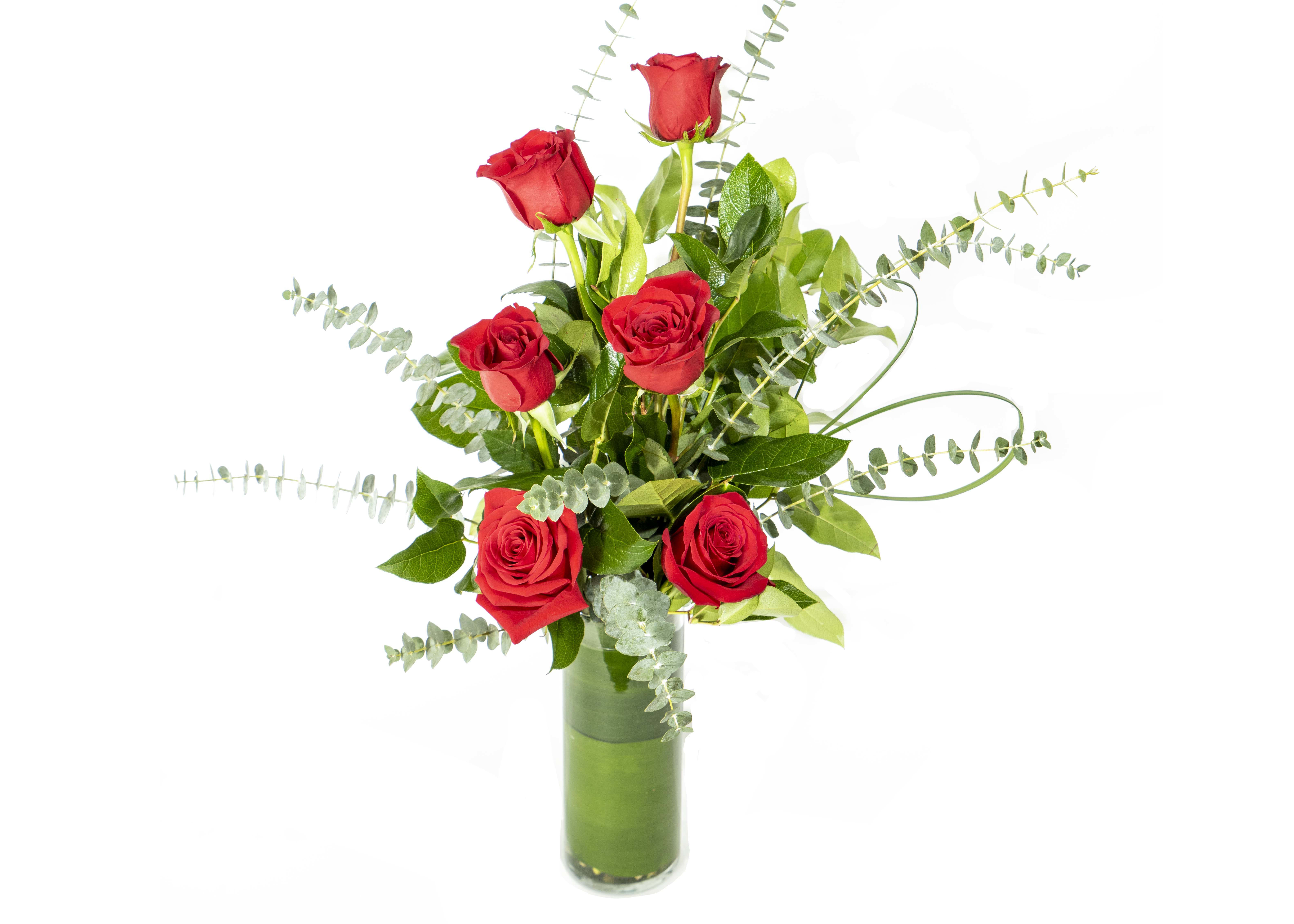 Red roses arranged in a tall glass vase with eucalyptus