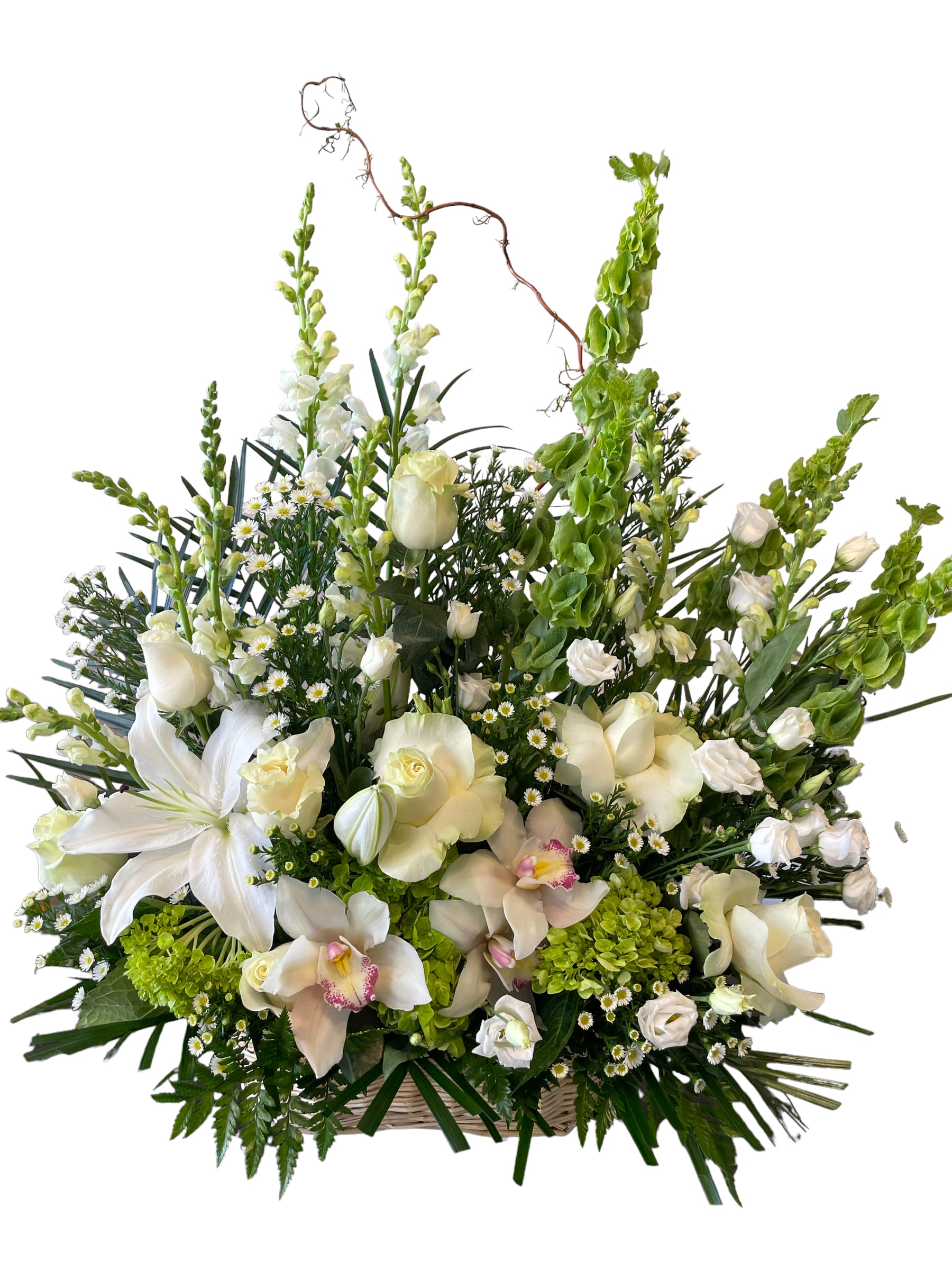 Large white floral arrangement in a basket with tall green spikes
