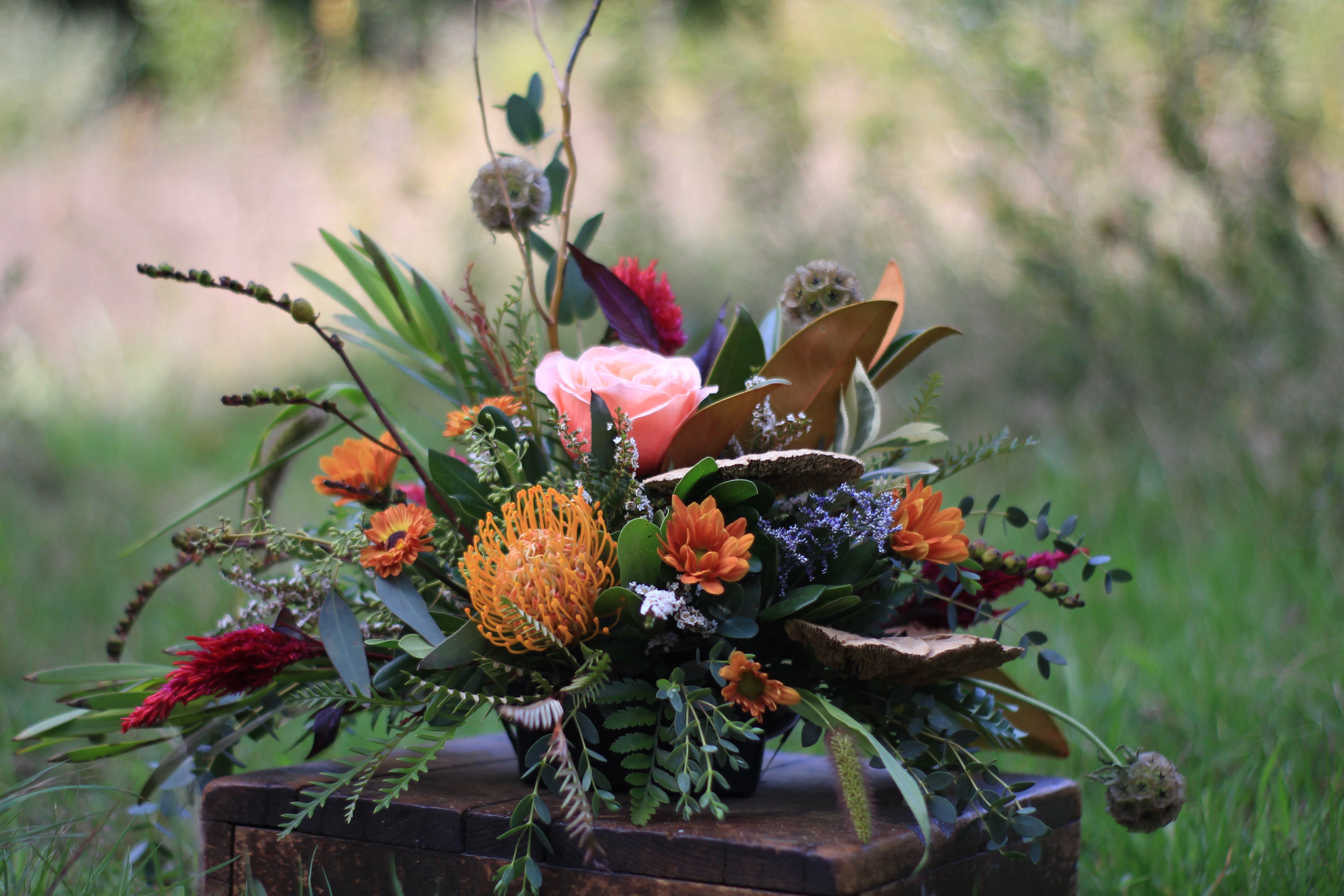 Foraging in the fall - For those who love an autumn hike or walk through the trails. Seasonal greens and fillers arranged around curly willow and dried mushrooms. This is a texture lovers dream. Orientation is one sided. Blooms include tropical protea, roses, spray roses, celosia, and seasonal pom pons.