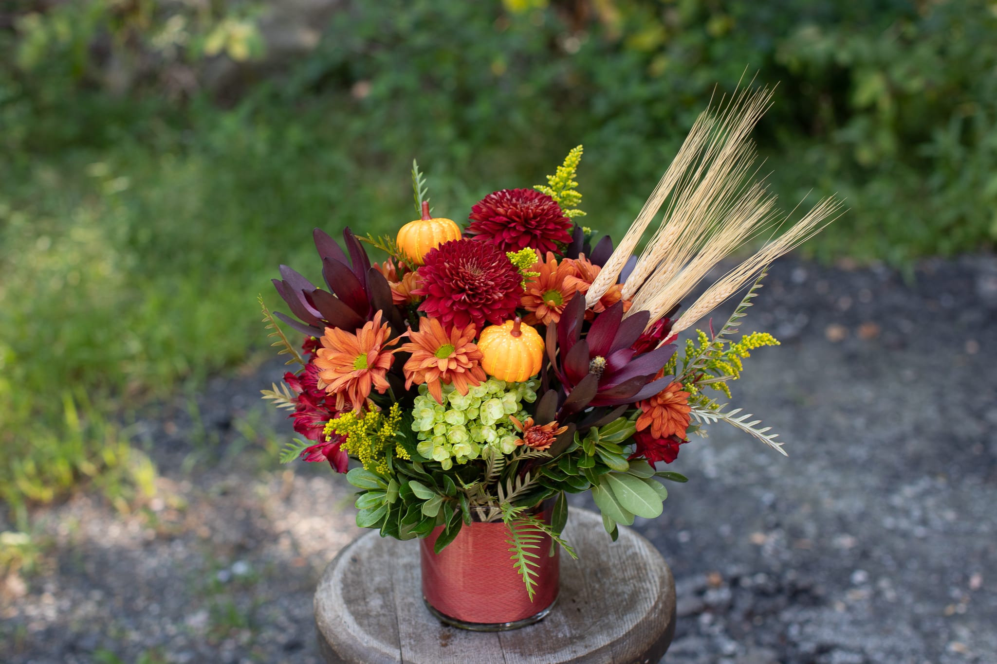 Wheat and Sweet - A cinnamon-gold cylinder vase adorned with festive pumpkins and natural dried wheat. Seasonal blooms of cremons, and spray daisy chrysanthemums and mojito hydrangeas are arranged compact and all around. Exact colors may vary but will be inspired by the seasons autumnal glow. Original design by Katie 2022.   