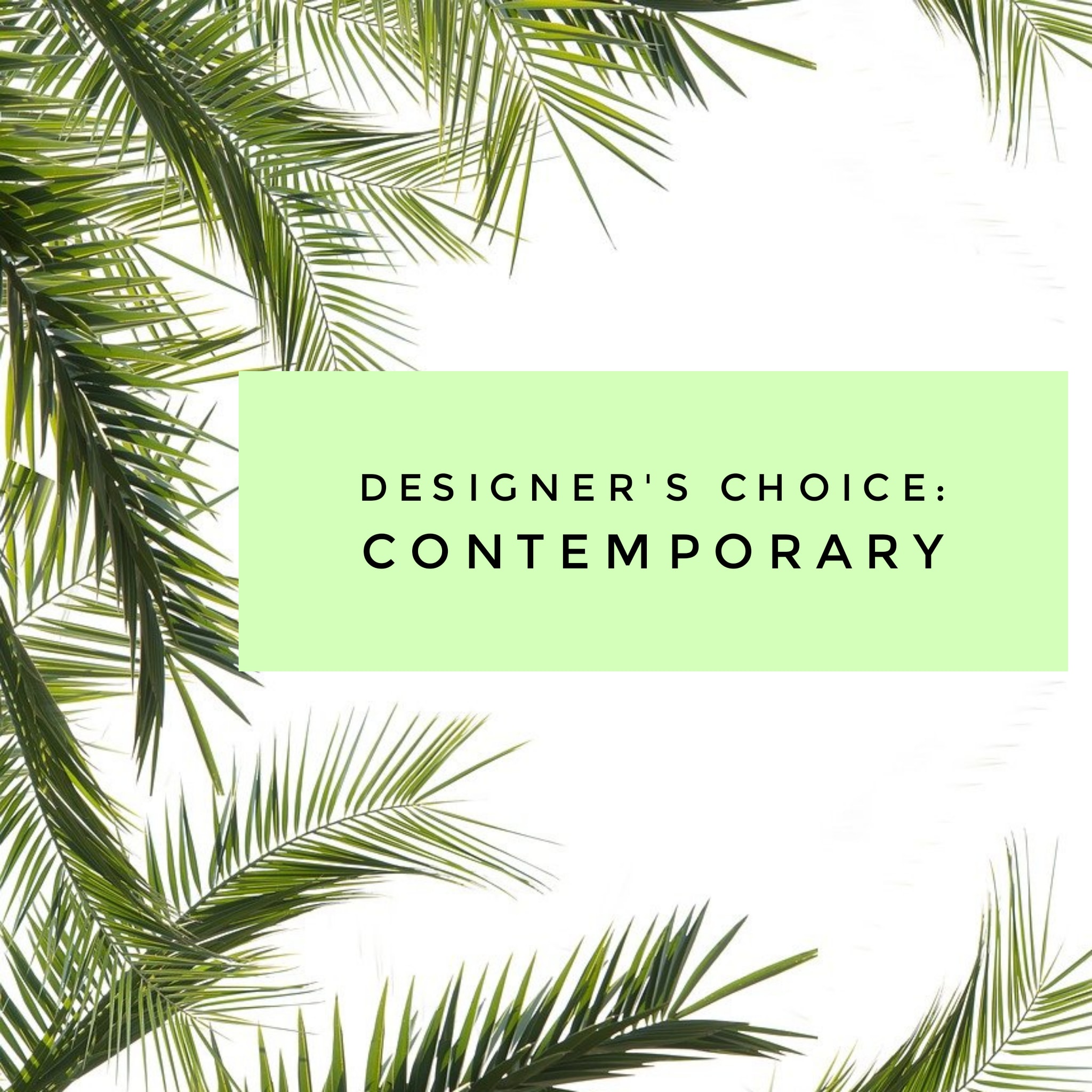 Palm fronds framing a green box with the words "Designer’s Choice: Contemporary"