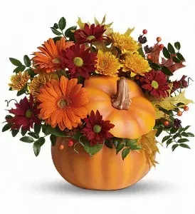 Country Pumpkin - Perfect for a fall centerpiece, birthday or Halloween party, this flower-filled ceramic pumpkin is a real cutie-pie. Bright and light orange gerberas, bronze cushion spray chrysanthemums, red daisy spray chrysanthemums, huckleberry, yellow oak leaves and more fill a hand-painted ceramic pumpkin that can be used over and over again. In fact, this pretty pumpkin is destined to carve out a special place in someone's home for years to come!   Orientation : One-Sided