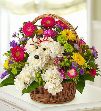 Flower Puppy - EXCLUSIVE Unleash smiles with our original and fun  floral creation. Hand-designed in a handsome, reusable handled basket with carnations, assorted poms, asters and more, it's perfect for dog lovers, pet parents, or a unique gift to get you out of the doghouse.Flower Puppy arrangement of the freshest carnations, Viking poms, asters, statice, solidago, waxflower, button poms and monte casino Hand-crafted in the shape of an adorable dog, complete with eyes, nose and a stylish collar Designed in a dark brown handled willow basket; measures 8"H Arrangement measures approximately 12"H x 12"D Our florists select the freshest flowers available so floral colors and varieties may vary Please note colors and container may vary.