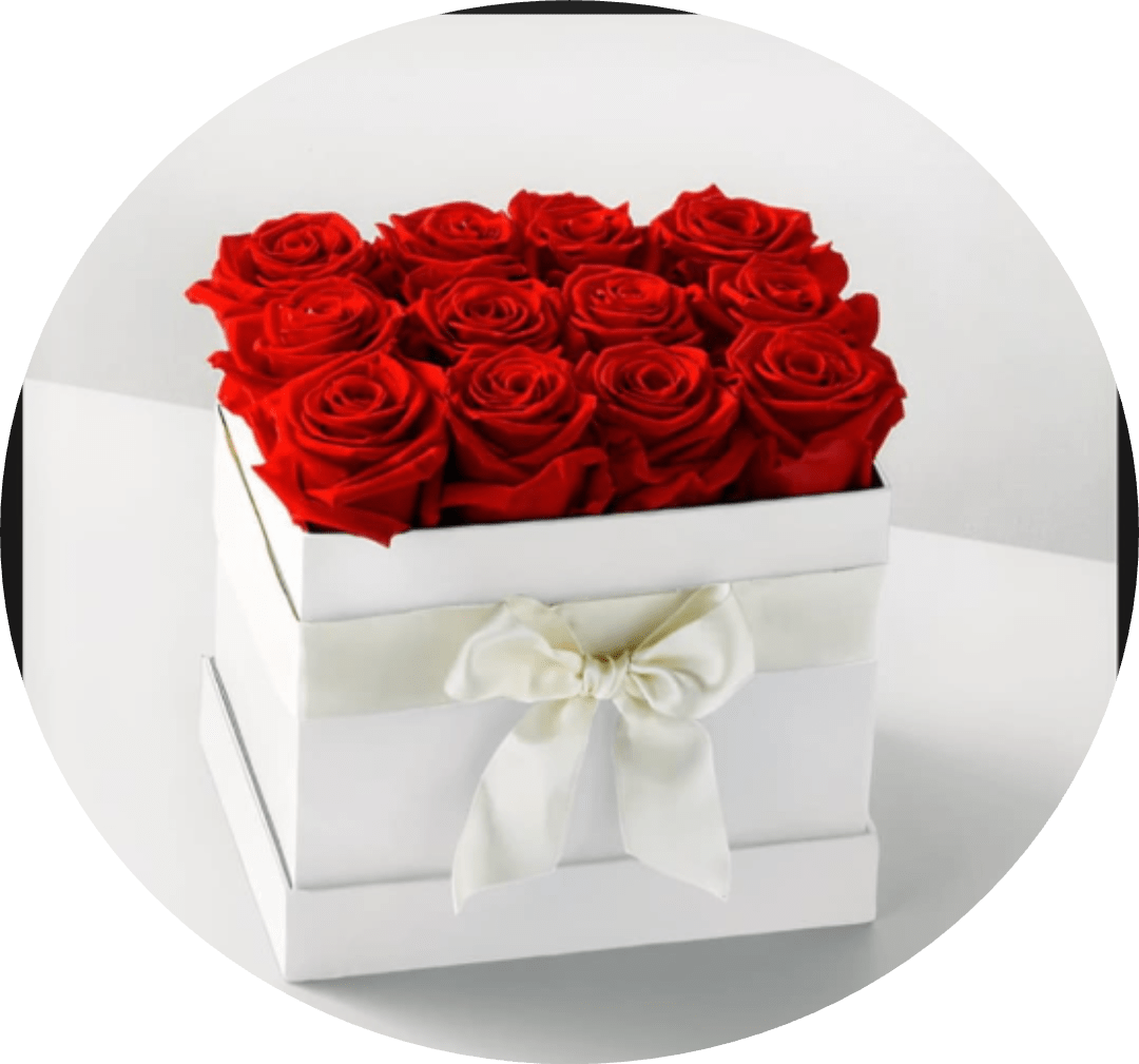 Red Rose Box Arrangement with White Gift Box - A dense cluster of vivid red roses crowns a crisp white square gift box, creating a polished, gift-like presentation that reads unmistakably romantic-perfect as a birthday bouquet, anniversary roses, or a Valentine's Day surprise. The classic red-and-white color pairing and satin ribbon bow make the person you're thinking of feel adored and celebrated the moment they open it.  Each bloom is closely packed to form a uniform, velvety top that emphasizes deep red color and luxurious texture. The arrangement sits neatly in a white square box trimmed with a pale satin ribbon and matching bow, giving a refined, modern look instead of a traditional vase display. Its compact, boxed format makes it easy to place and ready to present as an elegant romantic gift.