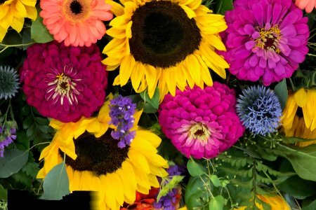 Bright bouquet of yellow sunflowers with pink and orange blooms and purple accents in a dense arrangement