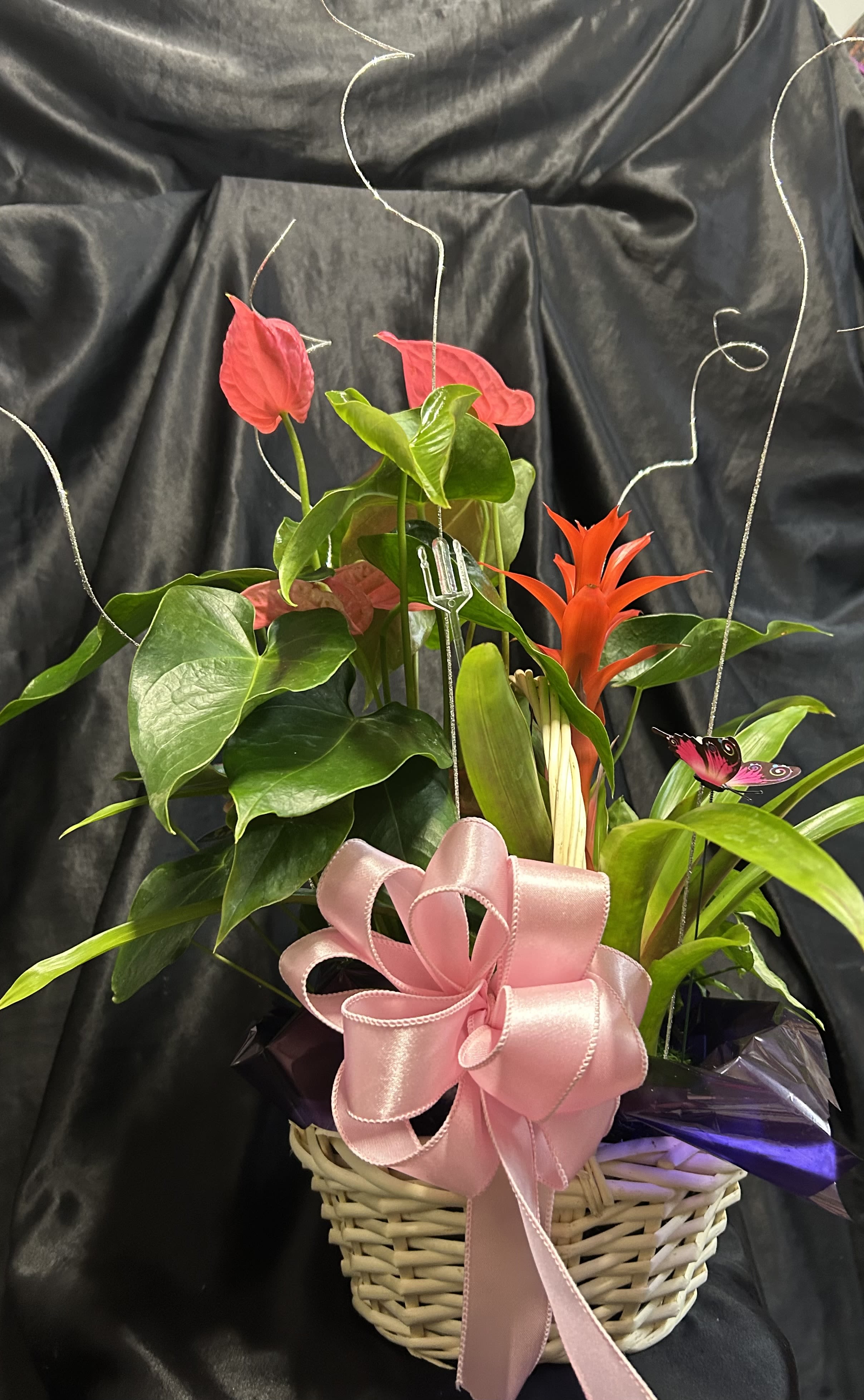 Tropical plant arrangement in a wicker basket with pink ribbon