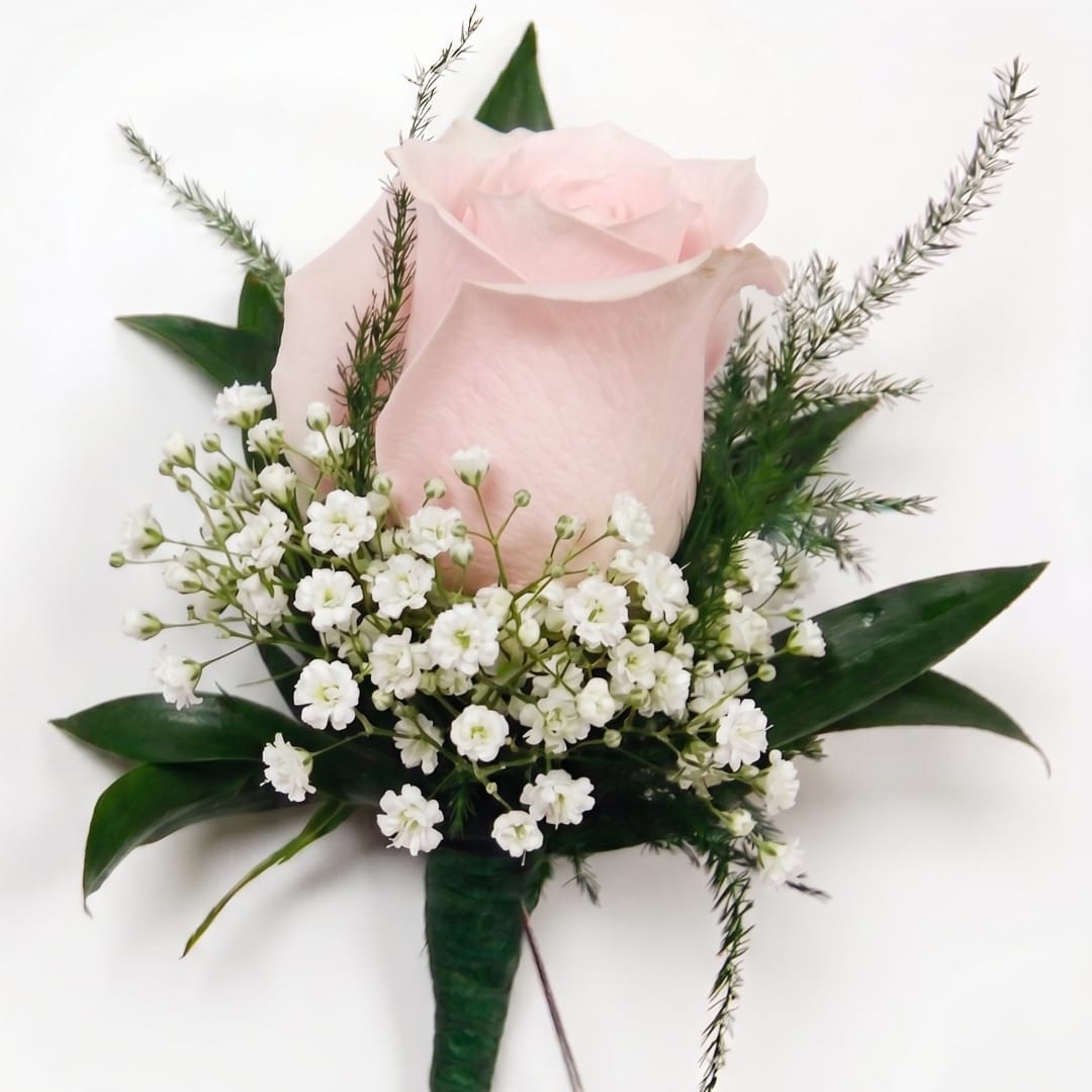 Single pale pink rose with small white filler flowers