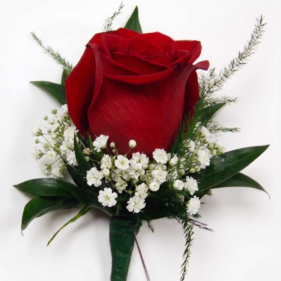 Single red rose boutonniere with white baby's breath