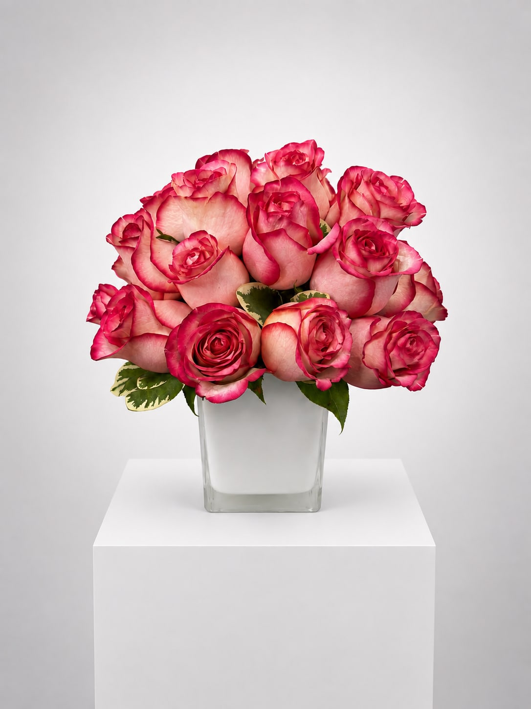 Pink roses arranged in a clear square vase