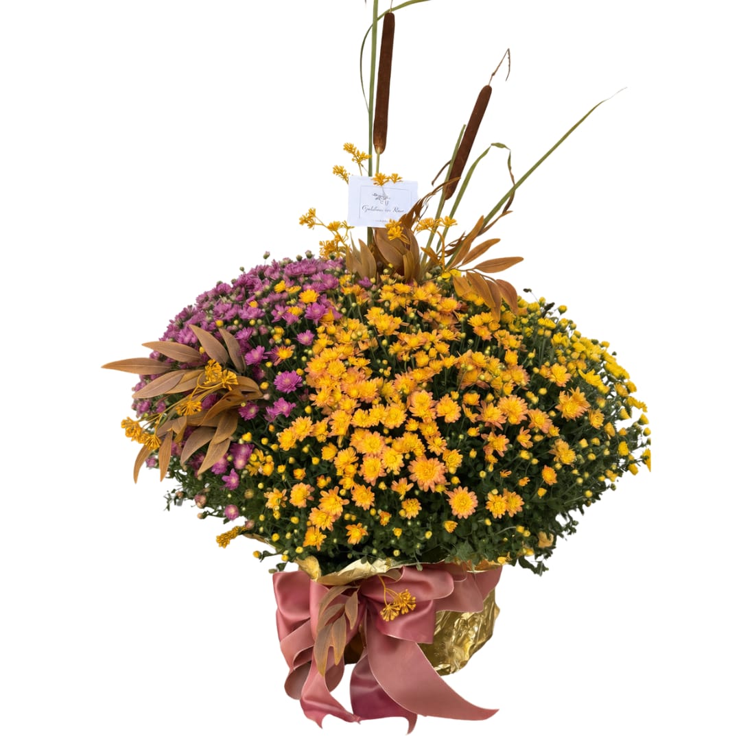 Large bouquet of yellow and purple chrysanthemums with a pink ribbon