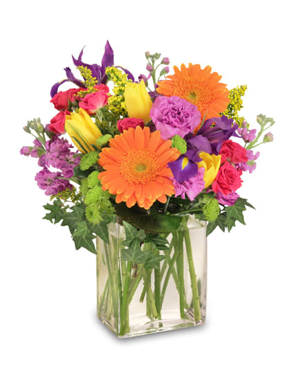 Bright mixed bouquet with orange gerberas, yellow tulips, and purple blooms in a clear square vase