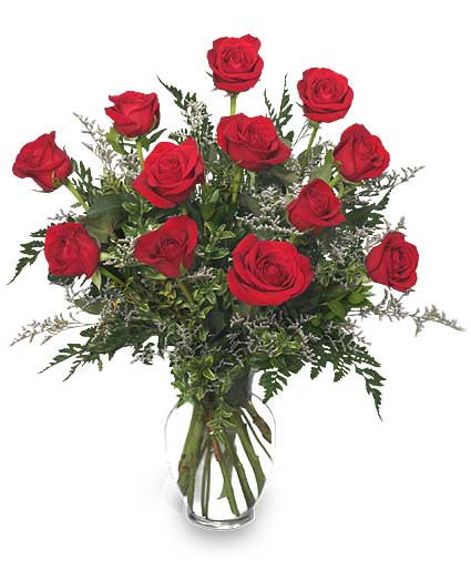 Arrangement of red roses in a clear glass vase with delicate white filler flowers