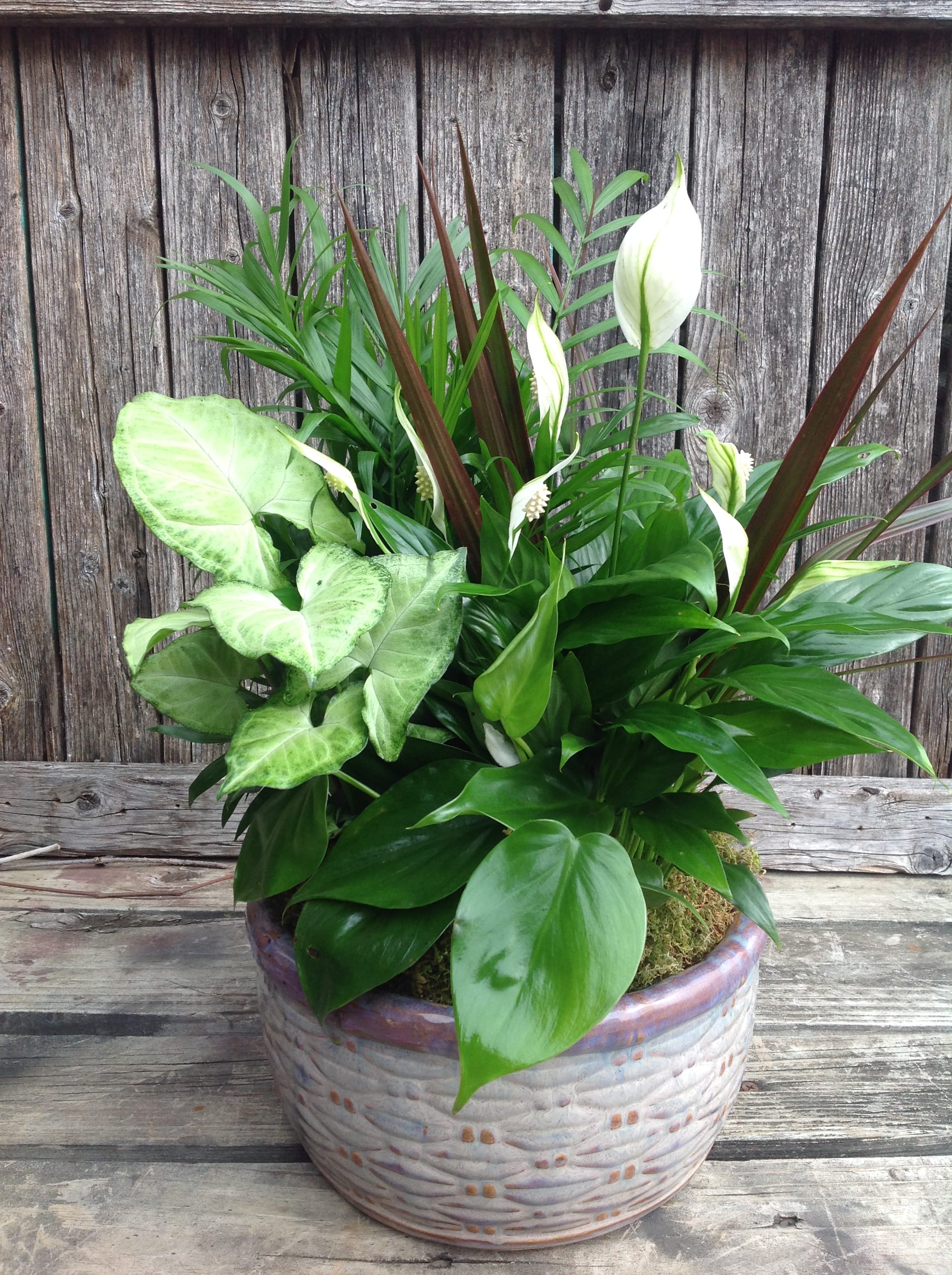 Tropical potted plant arrangement with white peace lilies in a ceramic bowl