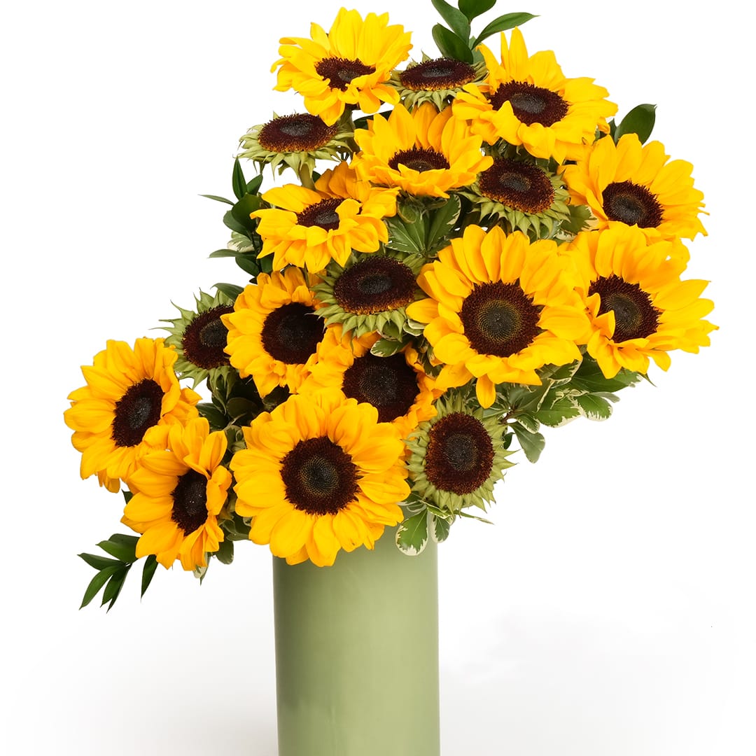 Bouquet of yellow sunflowers in a green vase