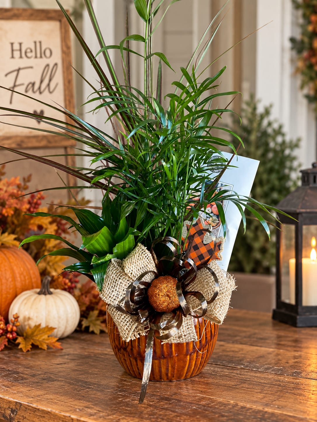 Potted green plant arrangement in a ribbed amber container with a fall ribbon