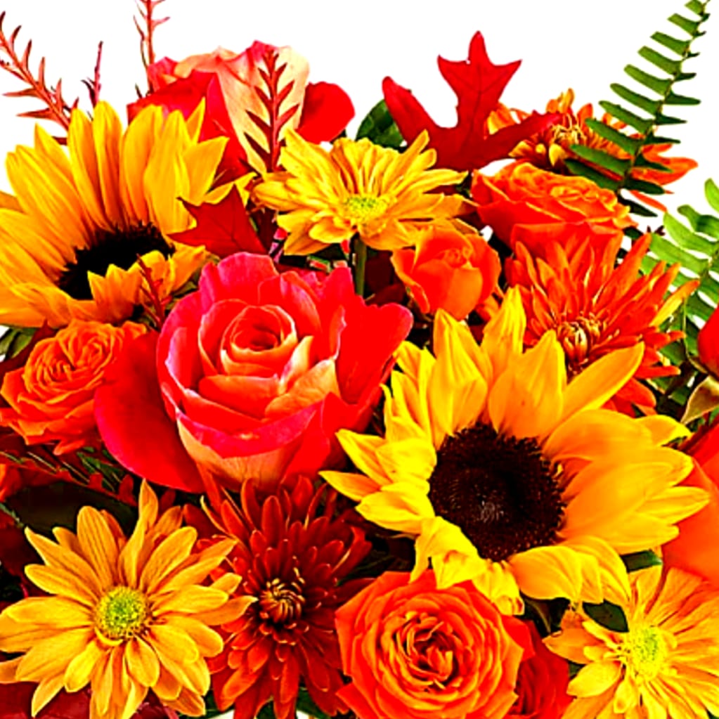 Bright bouquet of sunflowers, roses, and daisies in red, orange, and yellow
