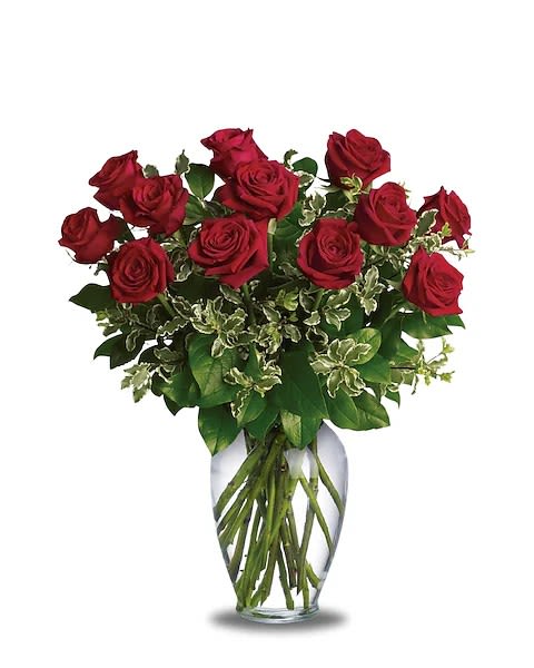 Red roses arranged in a clear glass vase