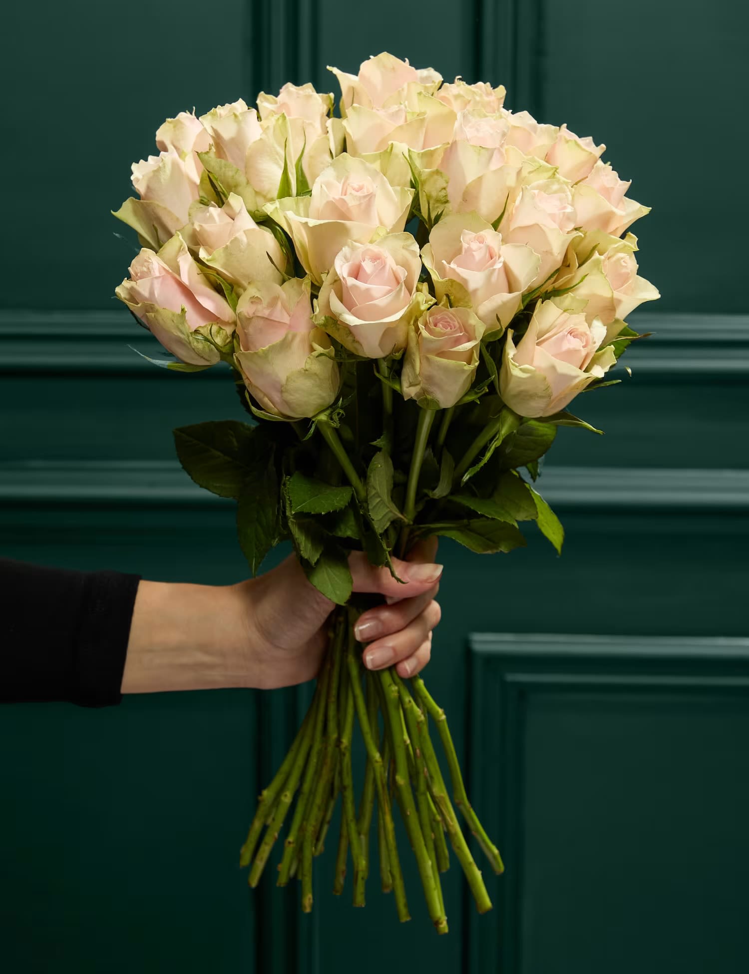 Handheld bouquet of pale pink roses against a dark green background