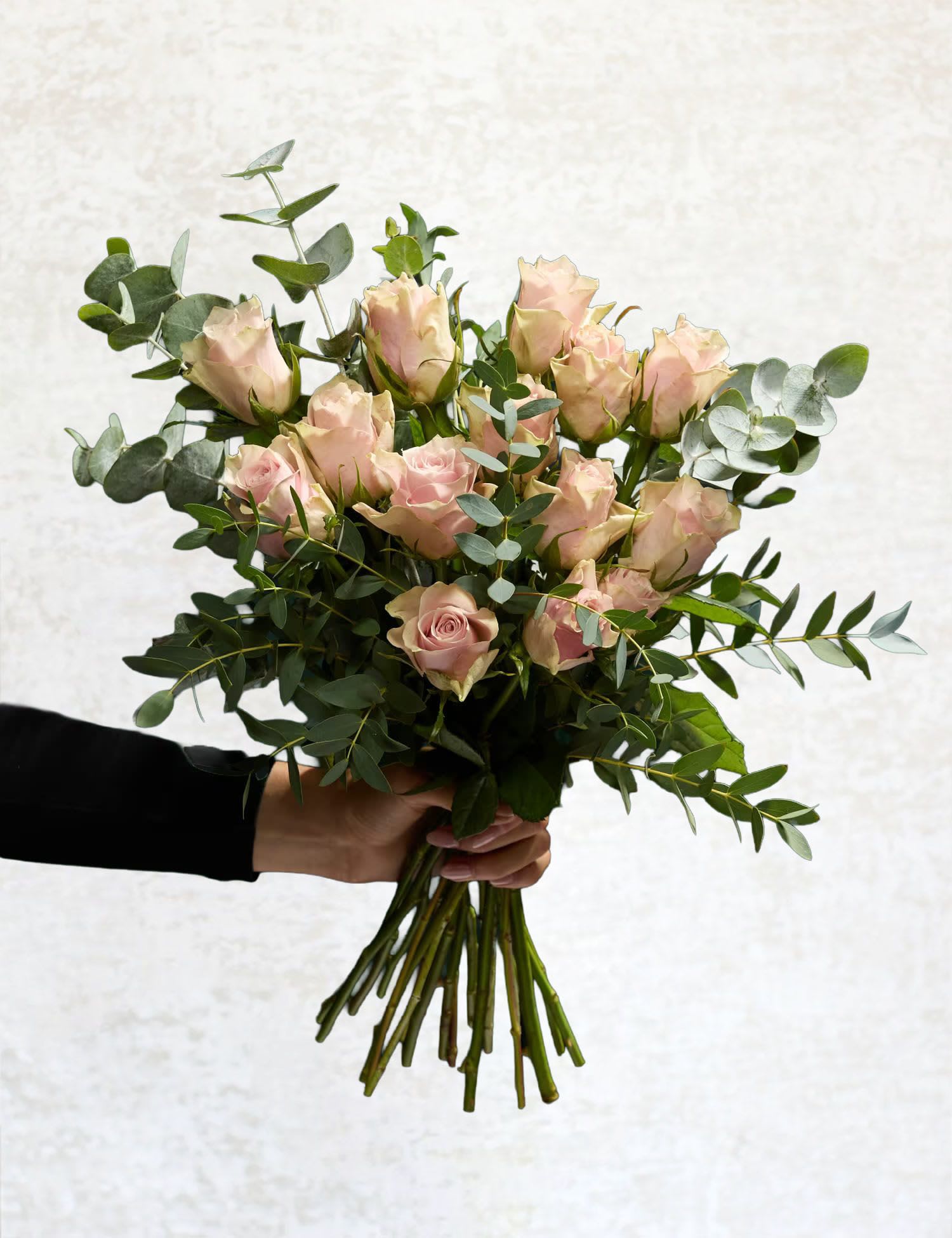 Handheld bouquet of pale pink roses with eucalyptus
