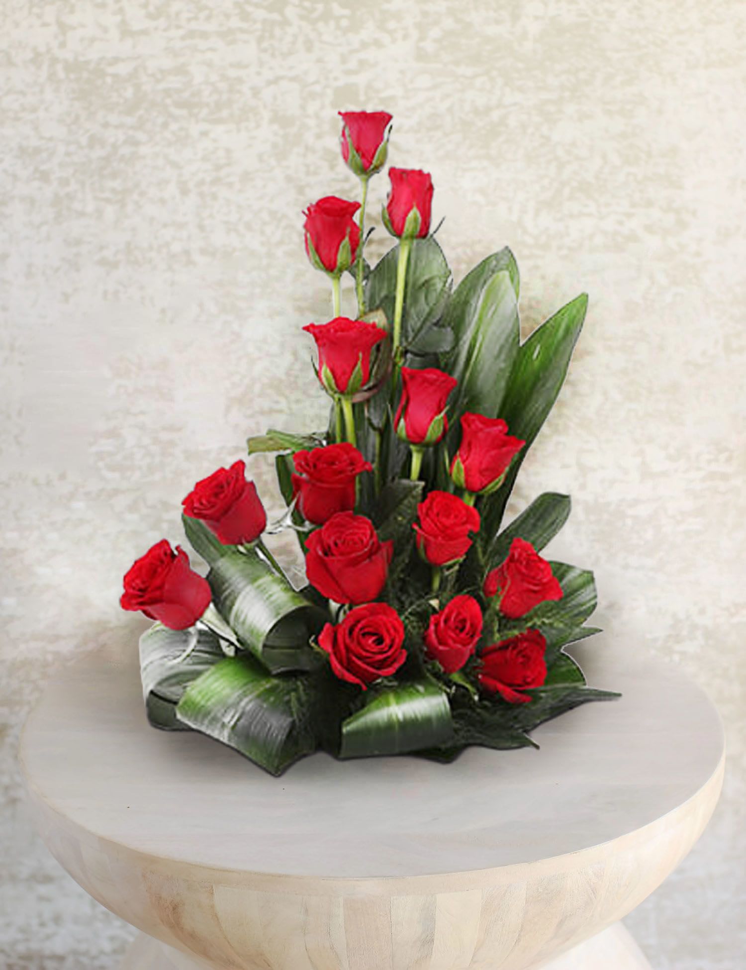Red roses arranged in a low display with broad green leaves