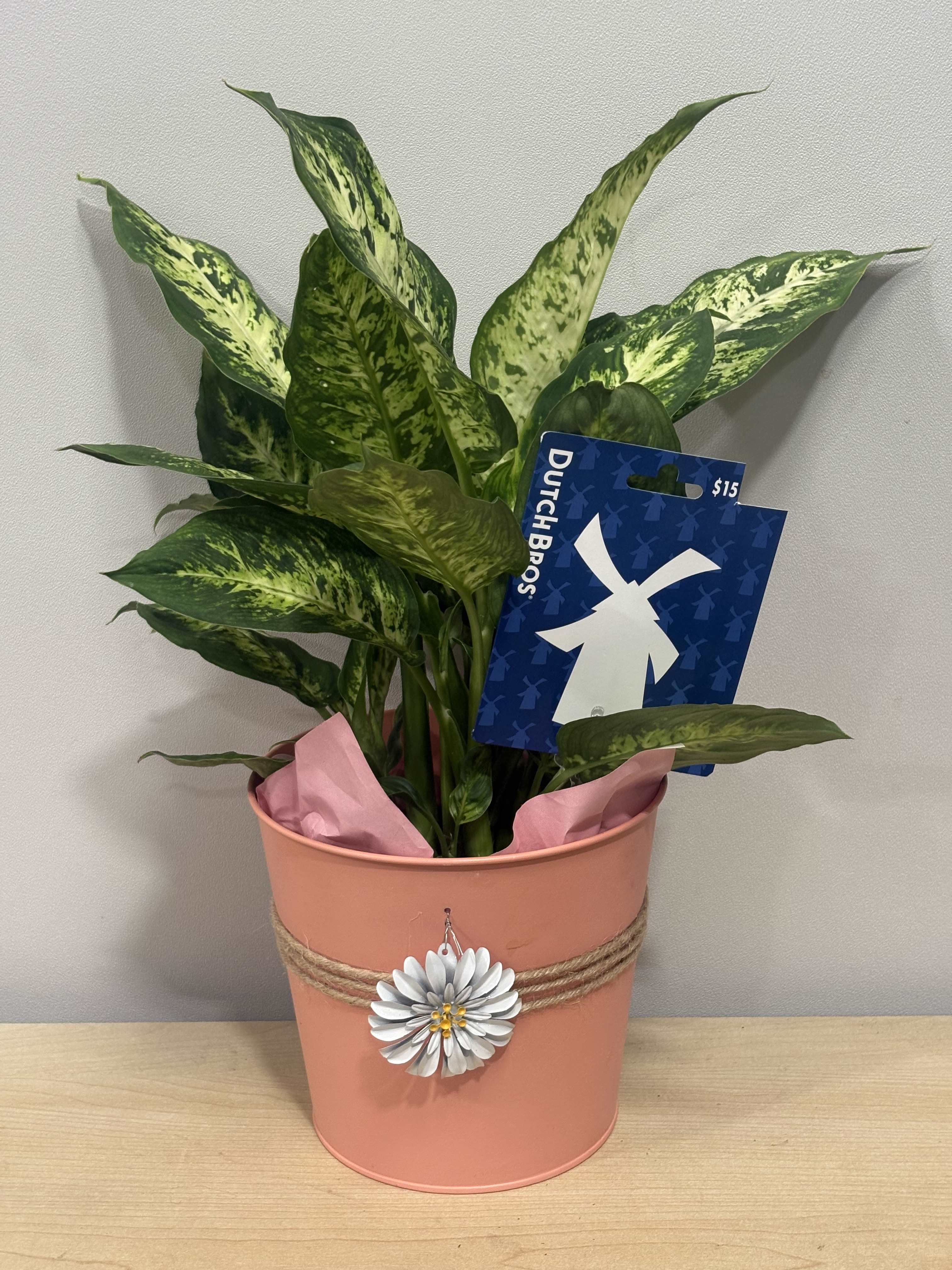 Potted variegated houseplant in a pink metal container with a decorative flower charm