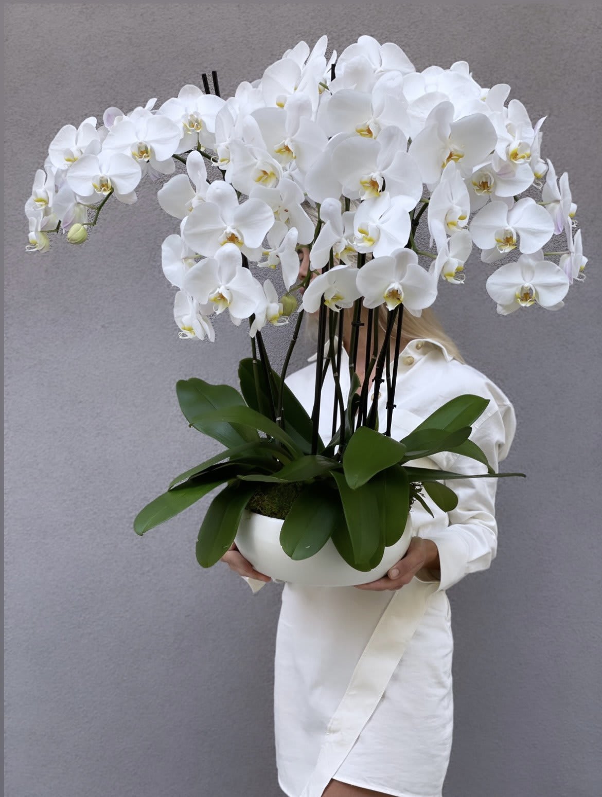 White orchid arrangement in a white bowl planter