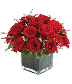 Red roses arranged in a square glass vase