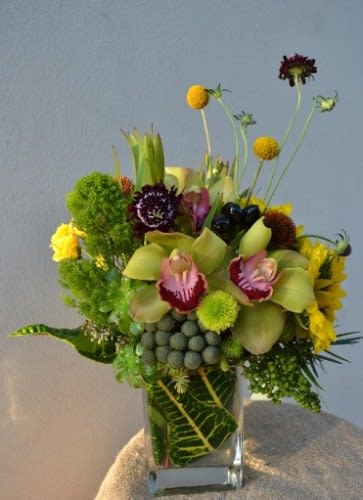Mixed floral arrangement in a clear square vase with tall stems and round blooms