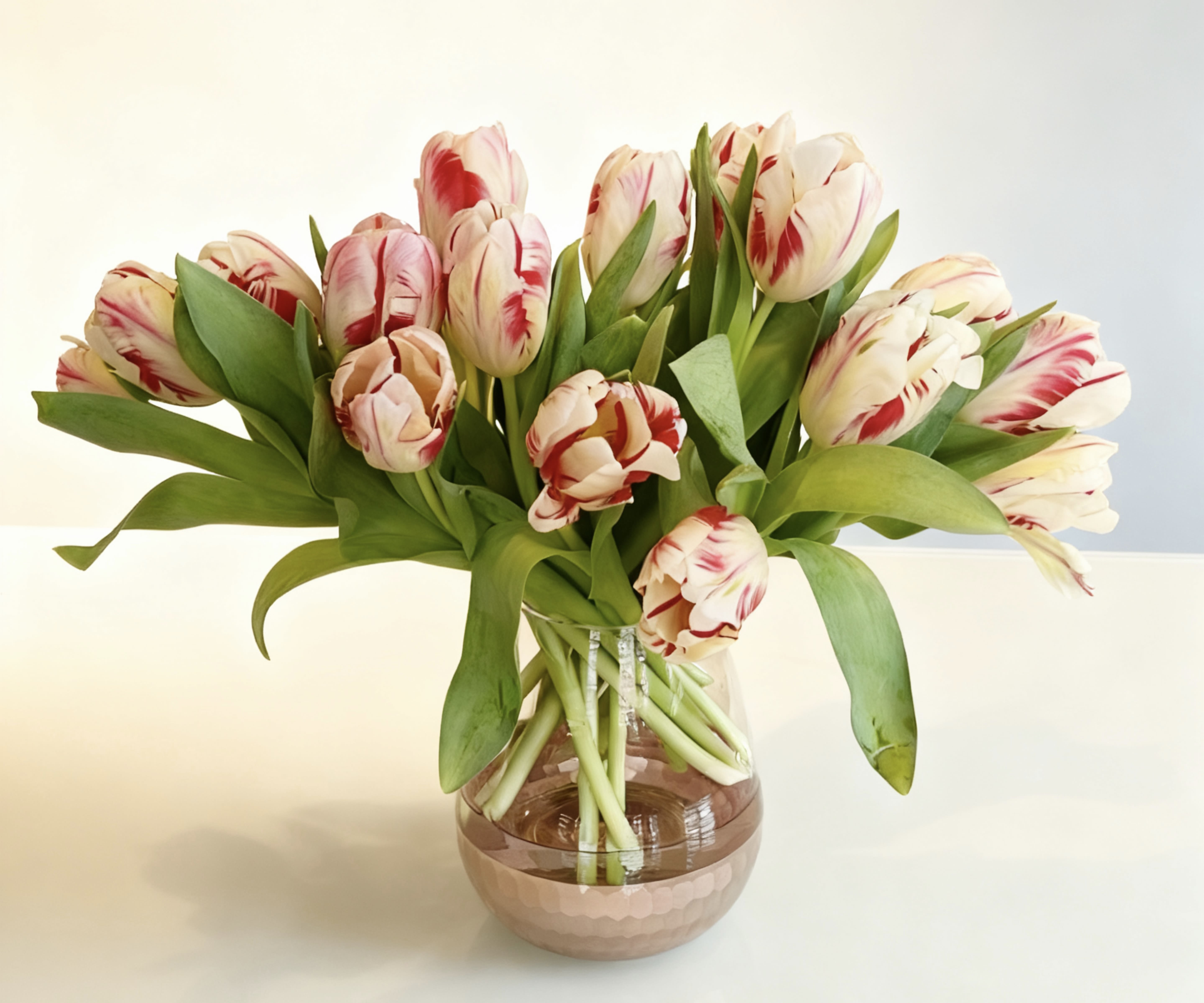 If it's not Dutch... - ... it's not much. thats the saying when it comes to Tulips. These are the creme de la creme all the way from Holland. 20 stems of large ParrotTulips in beautiful glass vase.