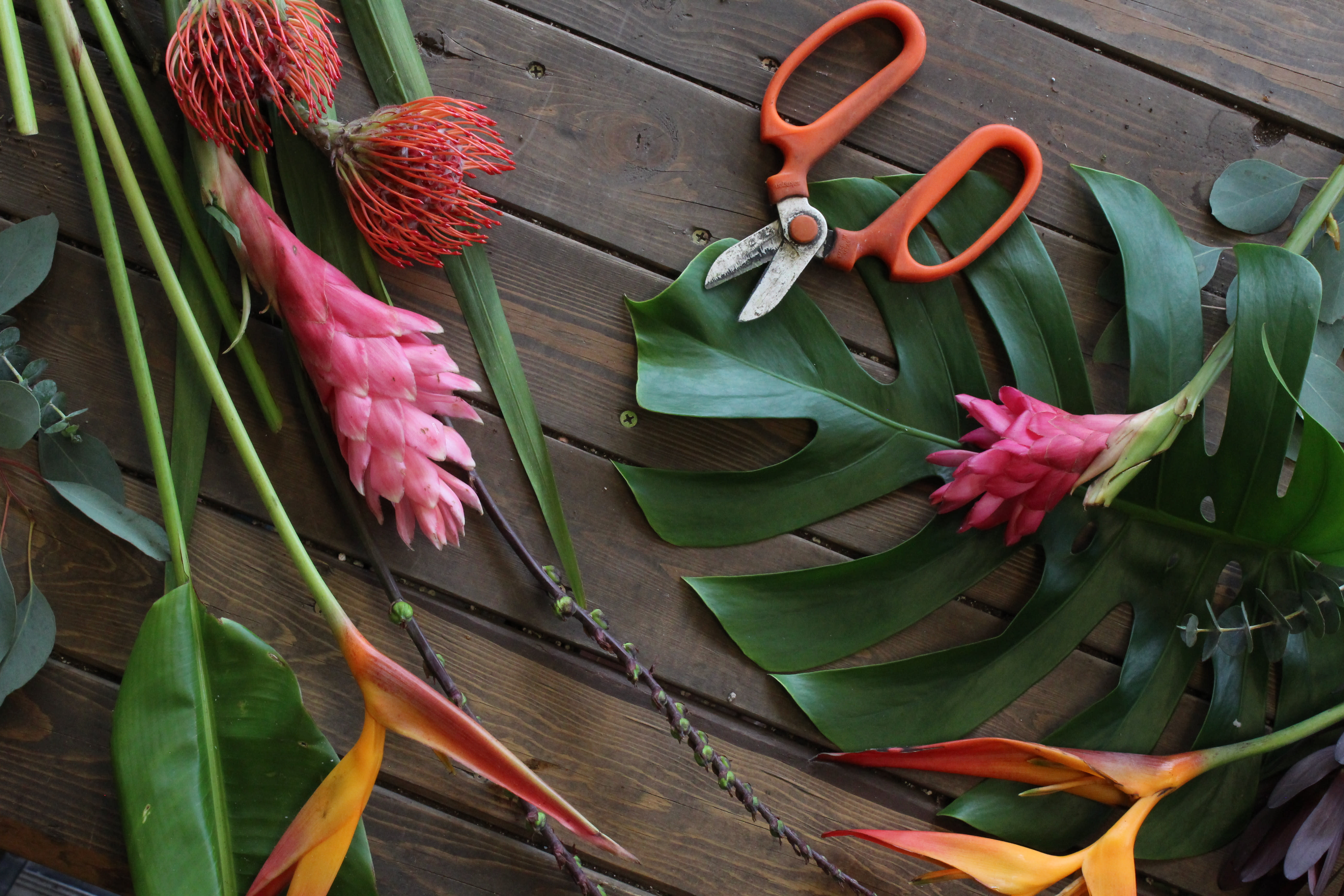 Designer's Choice Tropical Arrangement - The freshest selections of the day help create this arrangement. Not sure what to send? No time to hunt for something? Then sit back and let our expert designers take control. We select the container and flowers and create a gift that's truly unique. Have a color preference, please note that in the special instructions section and we will do our best to accommodate your request-please note we do not accept specific flower requests from online orders.