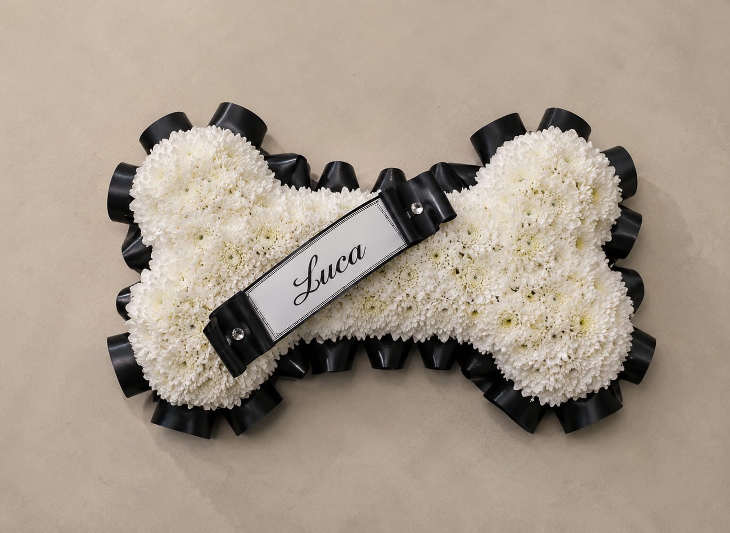 Eternal Paw Tribute Black - A tightly packed dog-bone tribute formed entirely of white chrysanthemums-designed to honor a beloved pet with quiet dignity. This pet memorial arrangement is sized and styled for a funeral or remembrance service, the black ribbon border and rhinestone accents giving the piece a formal, respectful finish that reads both elegant and heartfelt. 