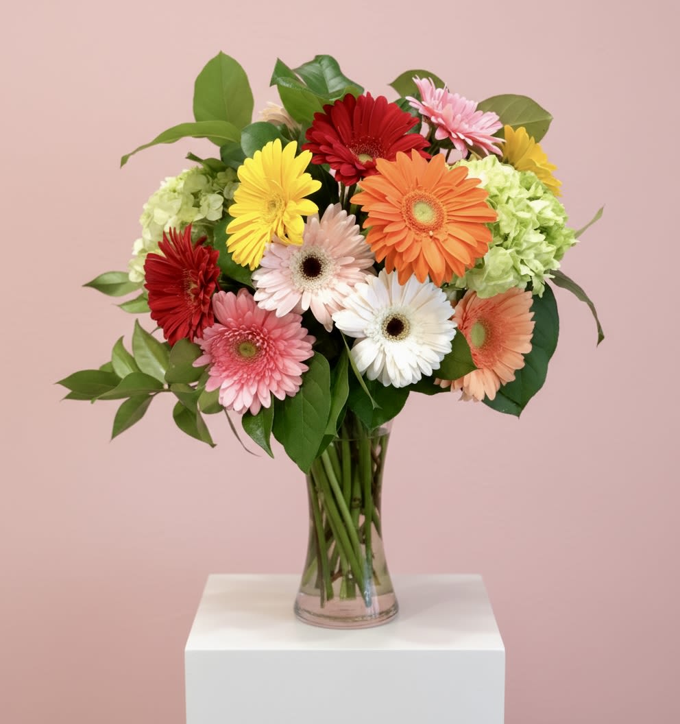 Glorious Gerberas - A tall show stopper with green hydrangeas and a variety of fun colors of gerbera daisies